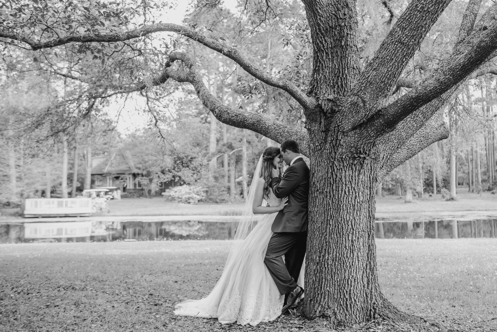 Bride and groom stand by tree, Brookgreen Gardens, Murrells Inlet, South Carolina