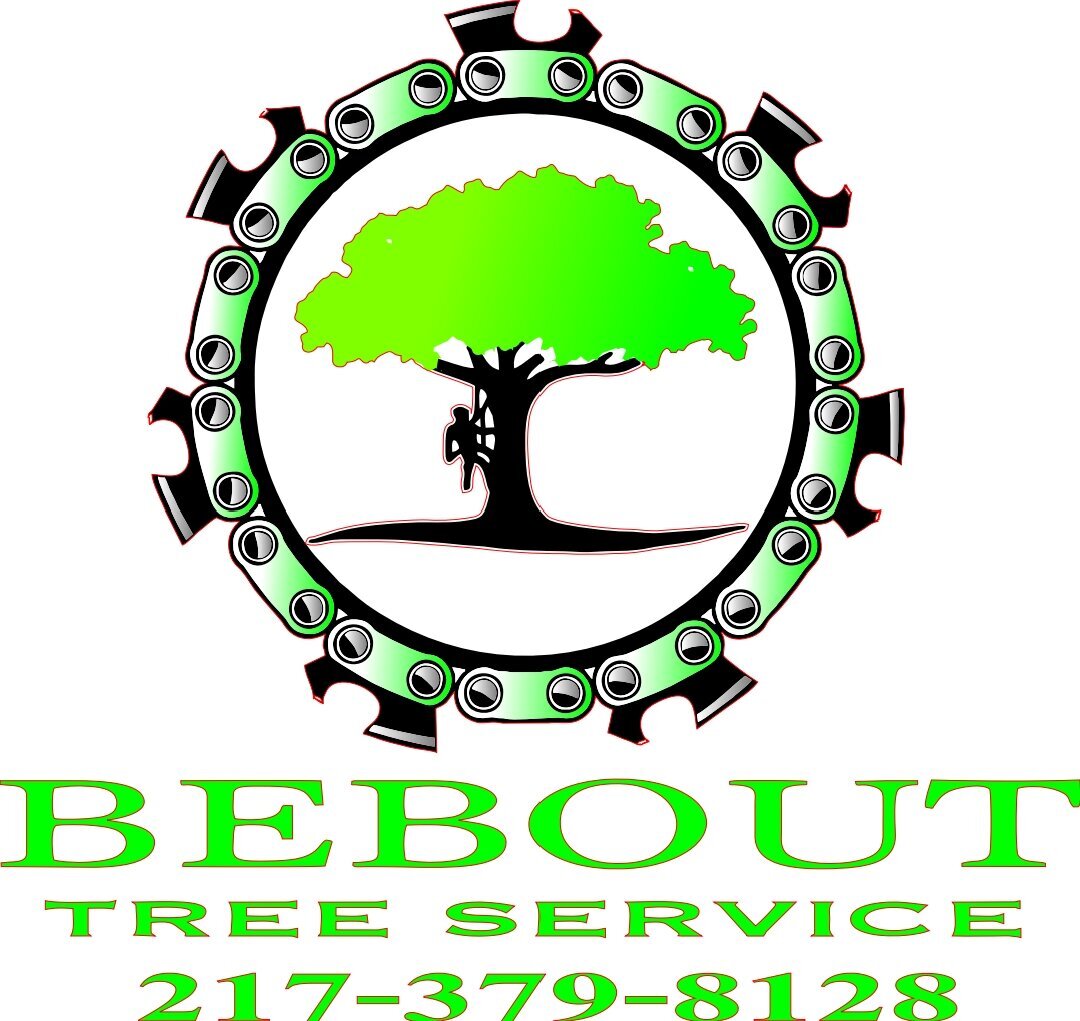 BEBOUT_TREE_SERVICE_240423_180124