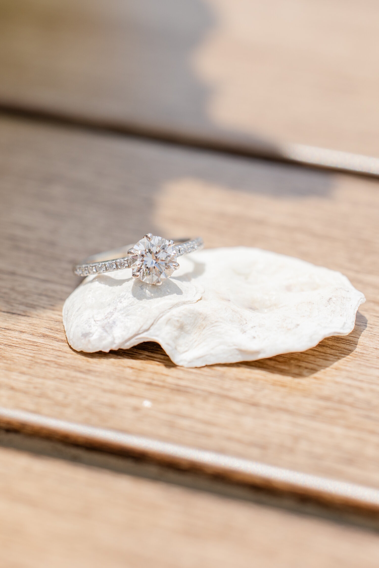 20240615-Monument Beach-Cape Cod Wedding-Erin Dan-00-WEBSITE-007