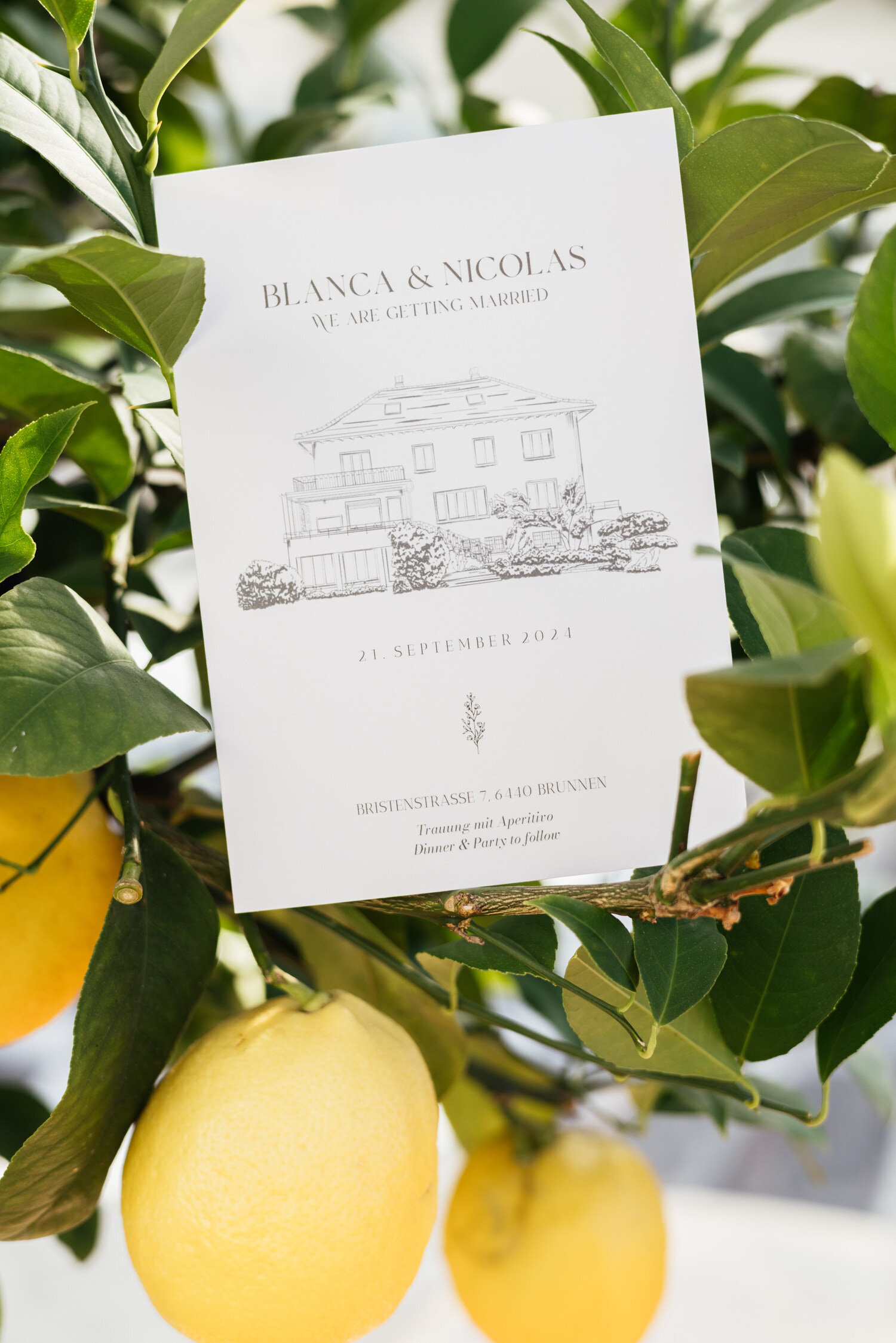 Blanca & Nicolas-5