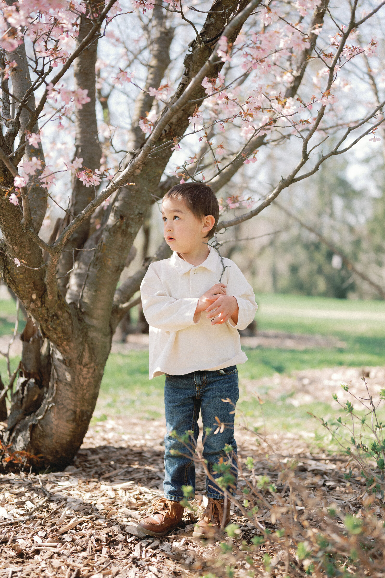 Boy in Ottawa Canada standing outside under a blossom tree