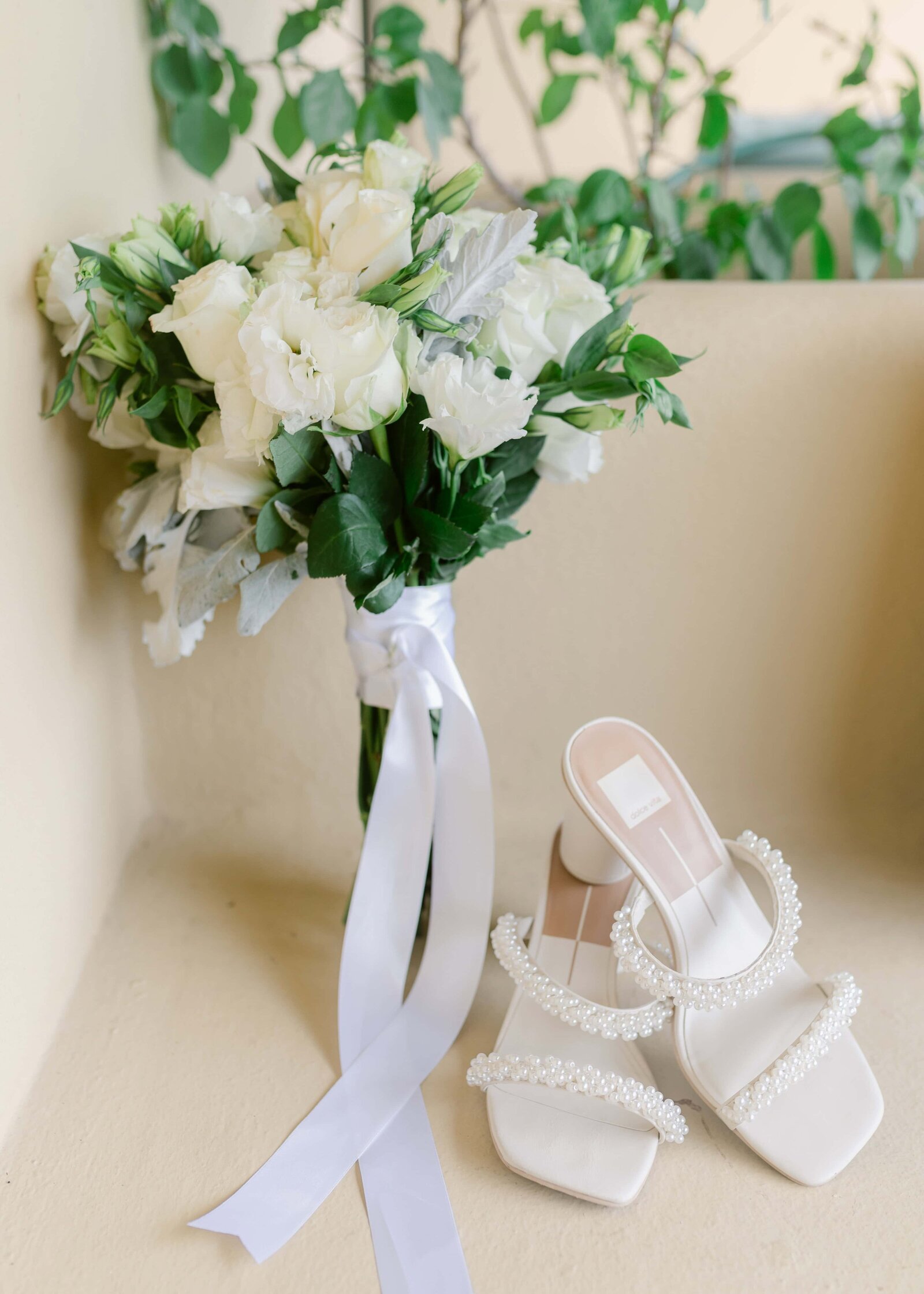 charleston photographers