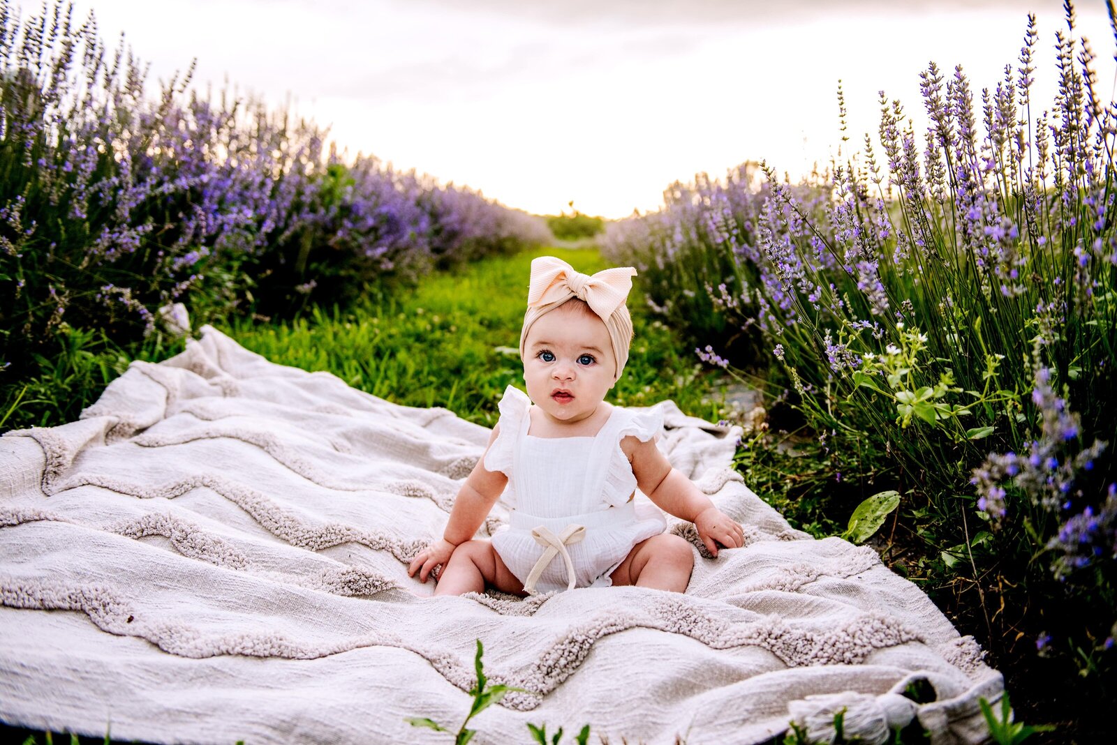 1 year old with a bow on in a lavender field