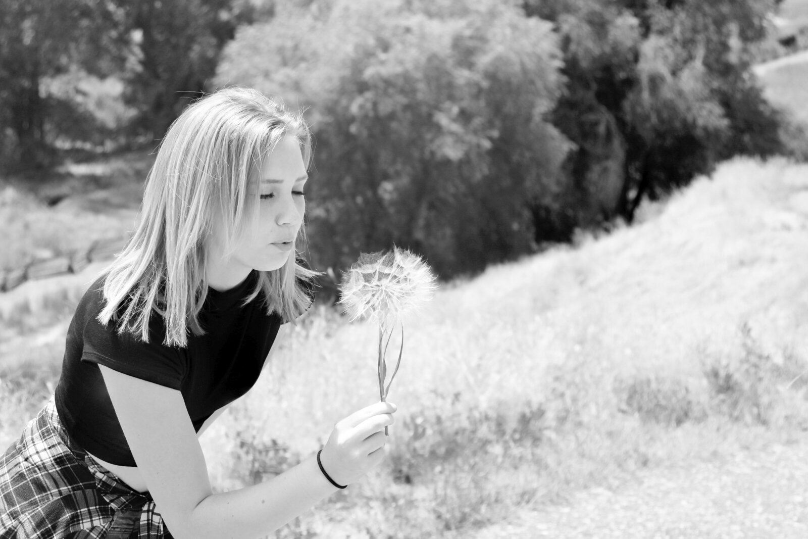 IMG_0959 copy