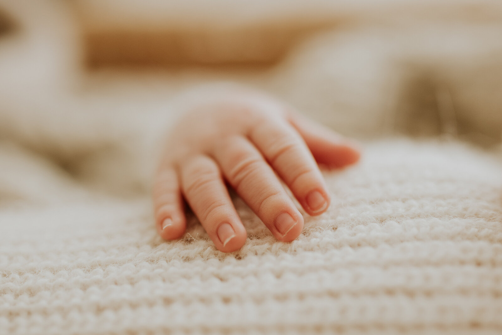 Red Deer Newborn Baby Photographer 092