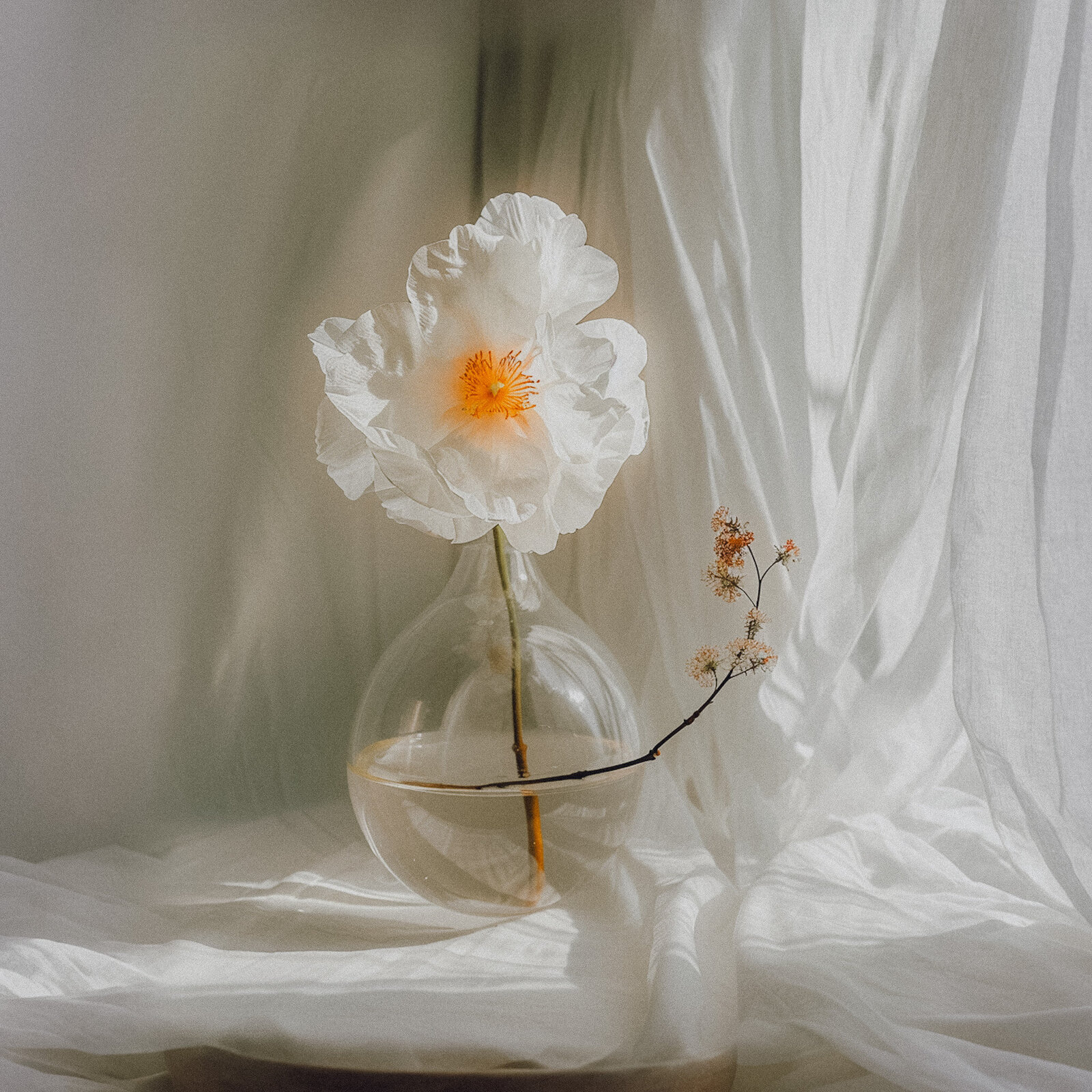 Tranquil Floral Arrangement