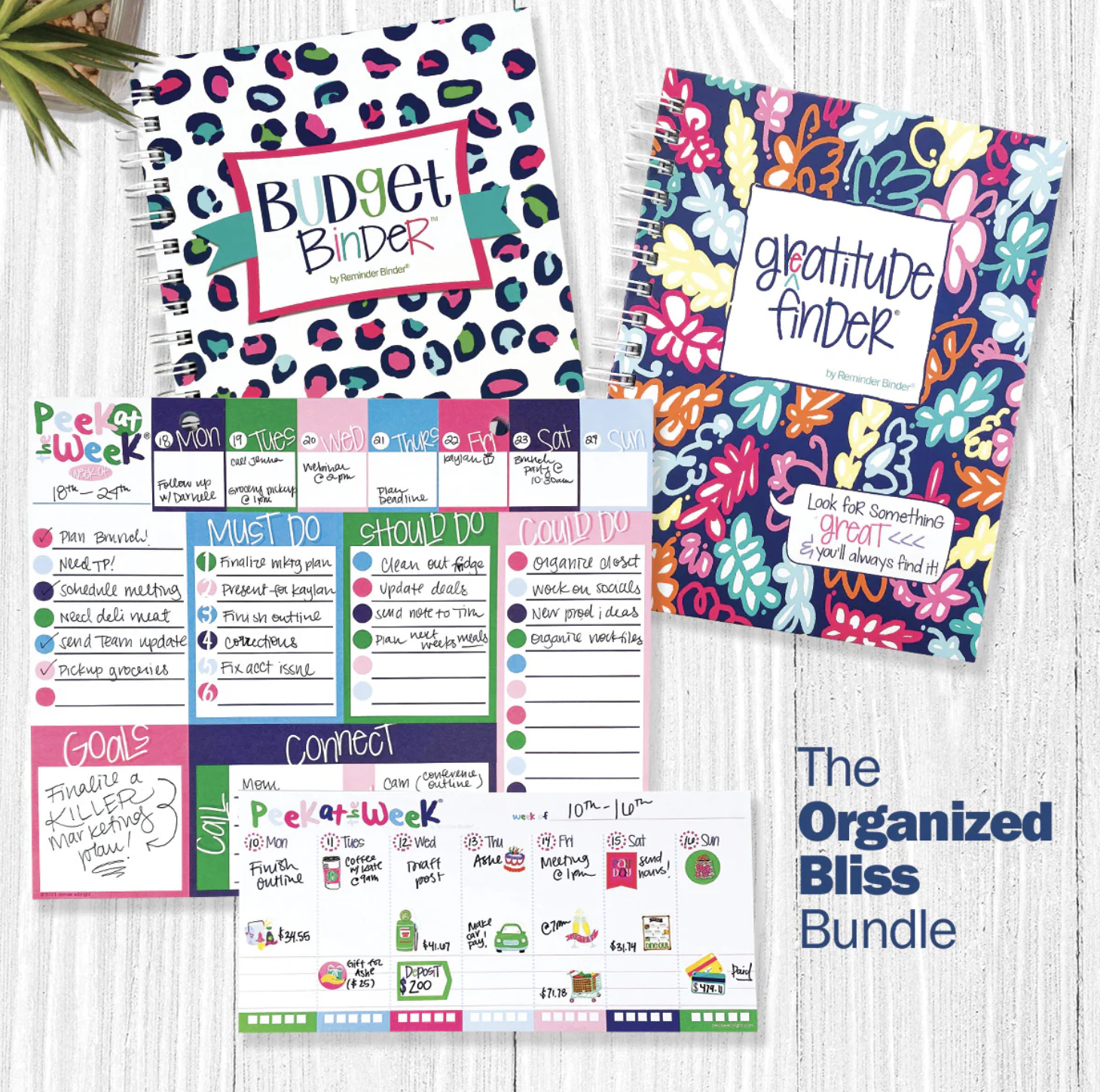 Screenshot 2025-01-02 at 9.40.56 AM