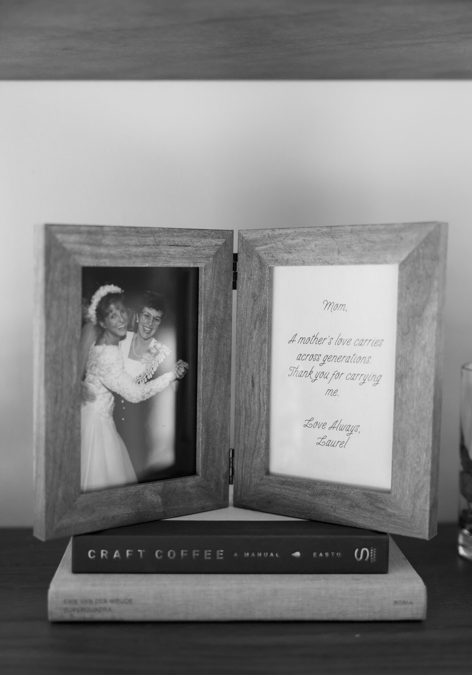 Wild Carrot St. Louis Wedding Photographer Lainie Arnold Photography-7