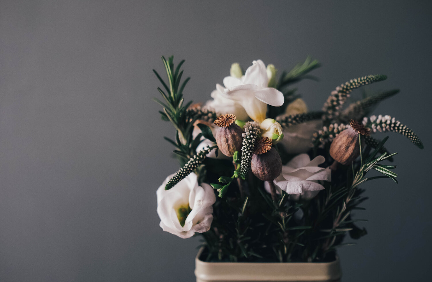 [HarperTempalte]annie-spratt-tODXQIEAh9M-unsplash