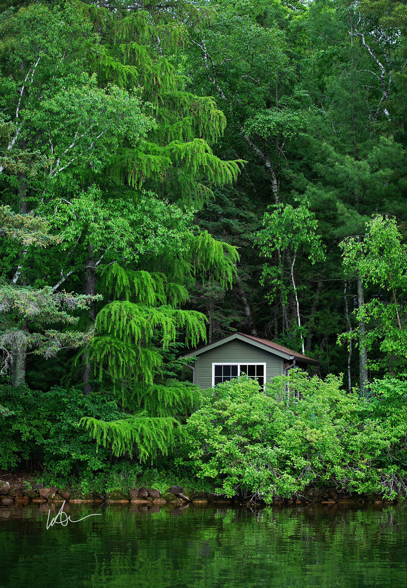Cozy Cabin in the Woods_LeAnn Overbeek