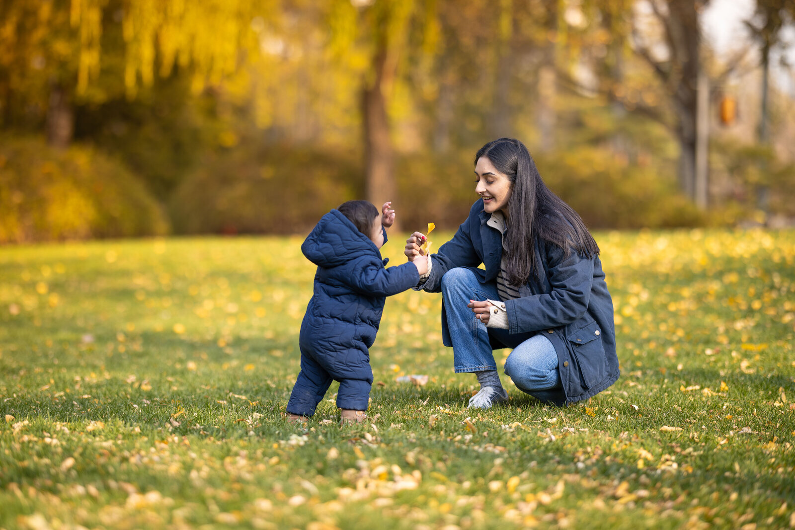 5W4A6818-Enhanced-NR