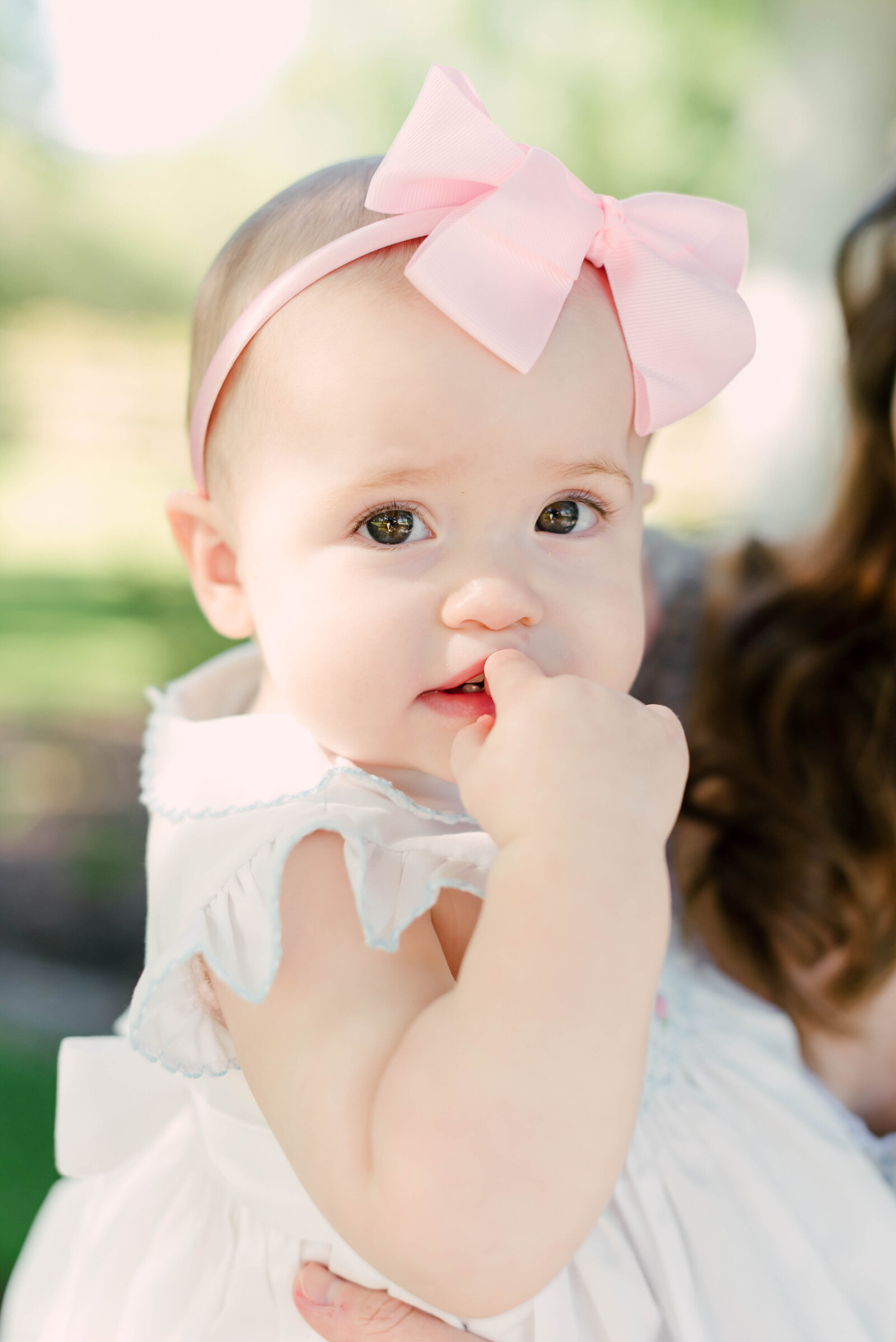 Heaphy Family Favs Gallery-0013