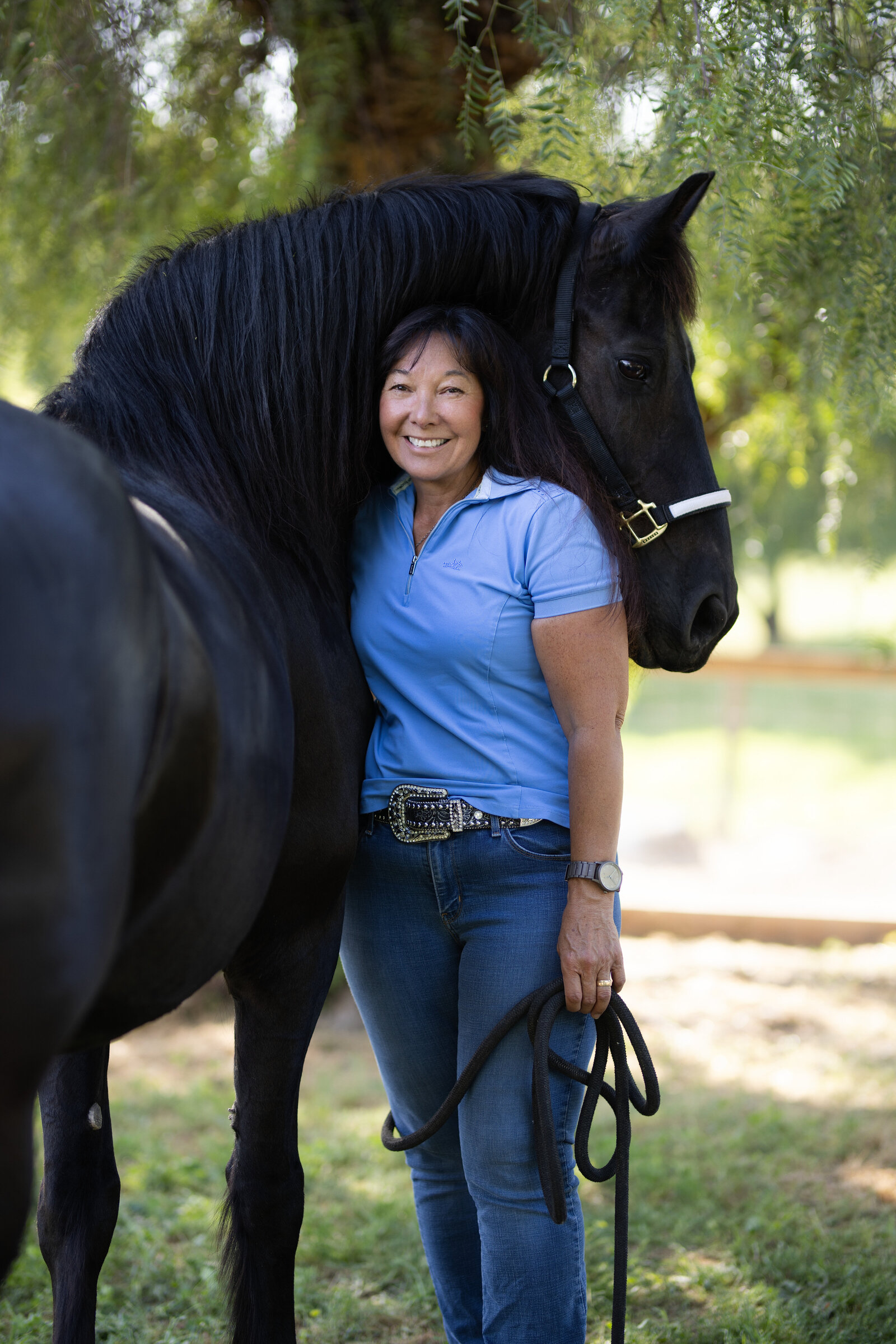Northern California Equine Portraits