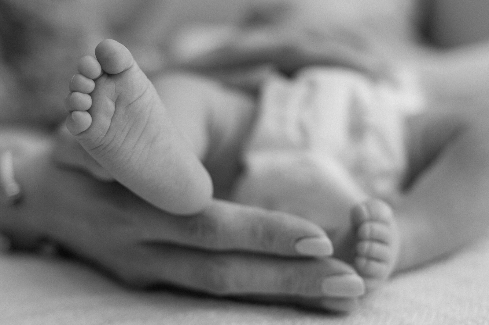 rock-hill-pineville-concord-ballantyne-nc-newborn-photographer (7)