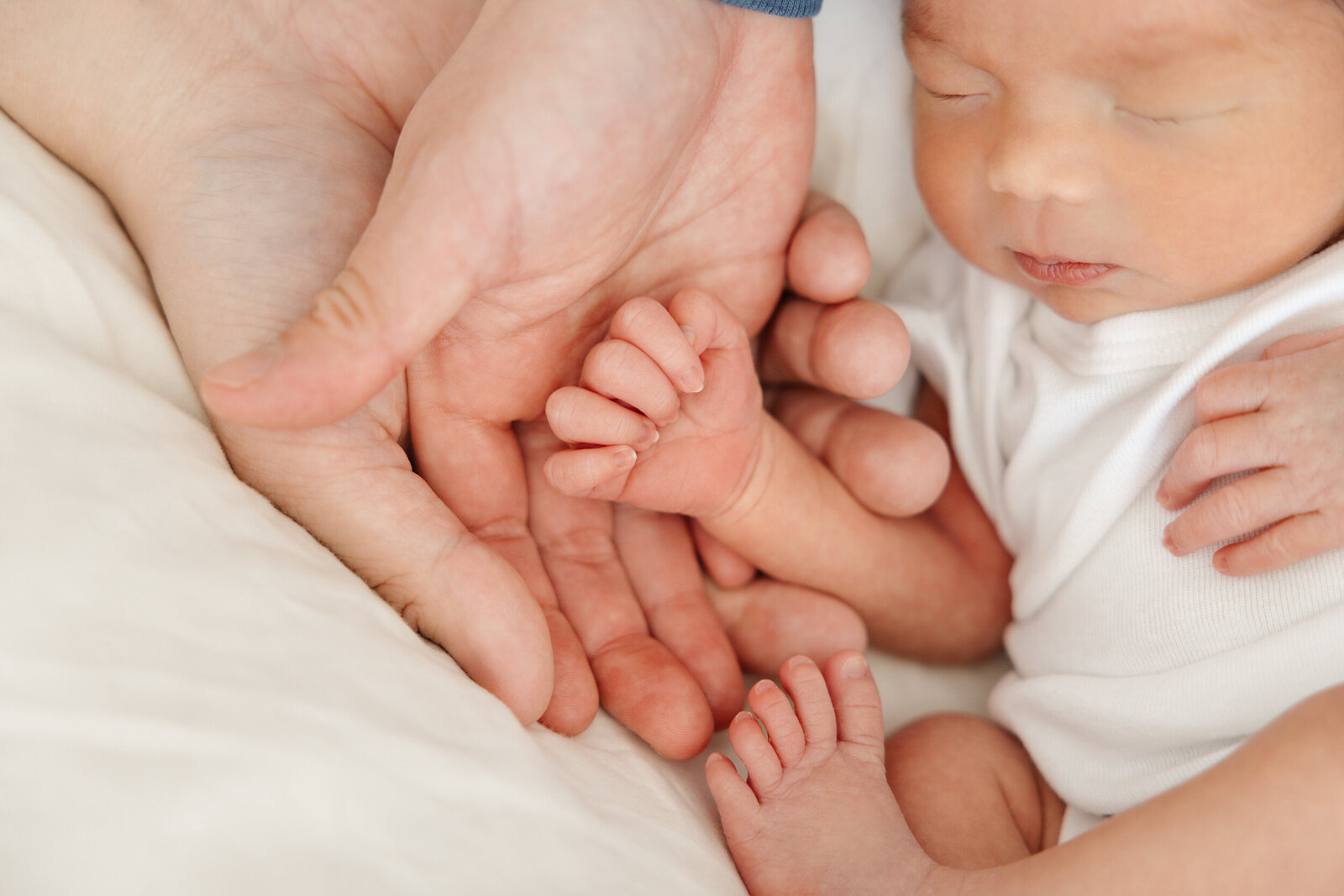 Boston Newborn Photography--19