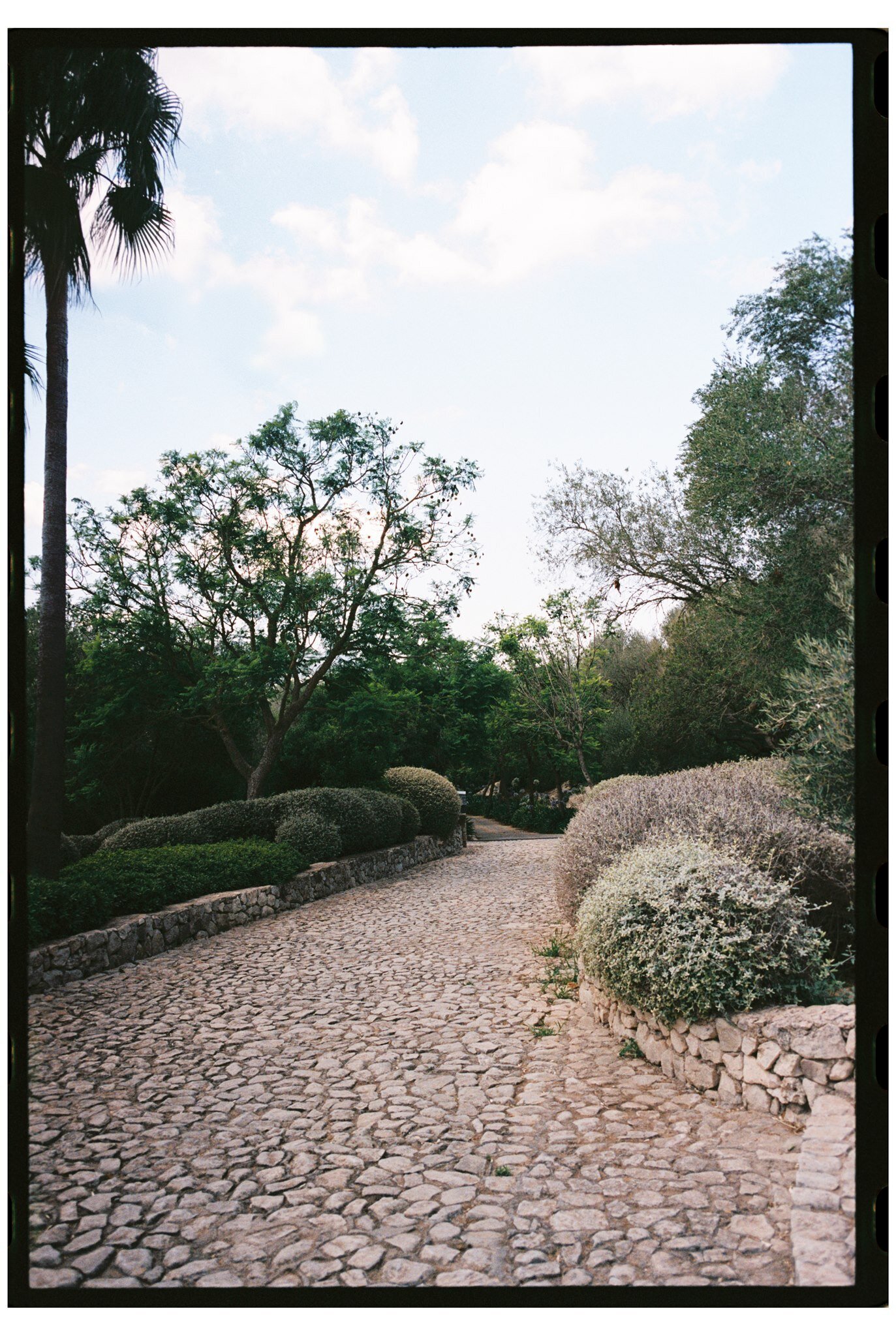 Kathi-David-Wedding-Day-Film-4