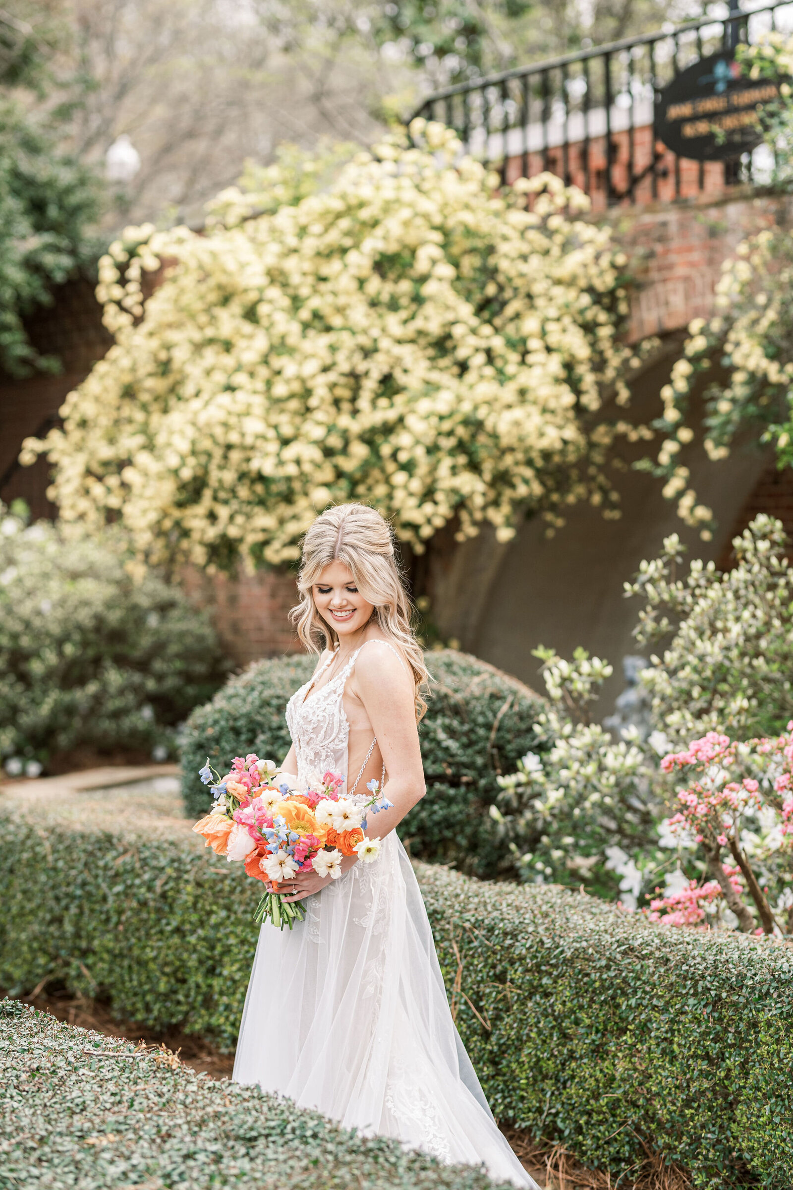 colorful spring bridal portrait Furman rose garden Greenville SC