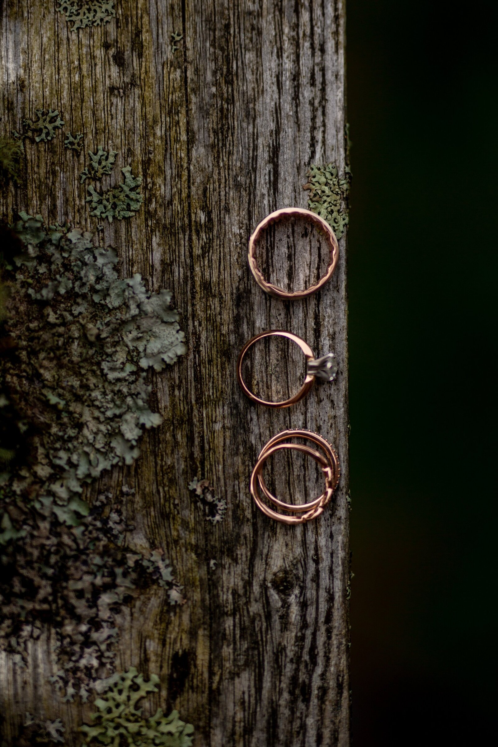 Cannon Beach-Wedding-Photographer-6