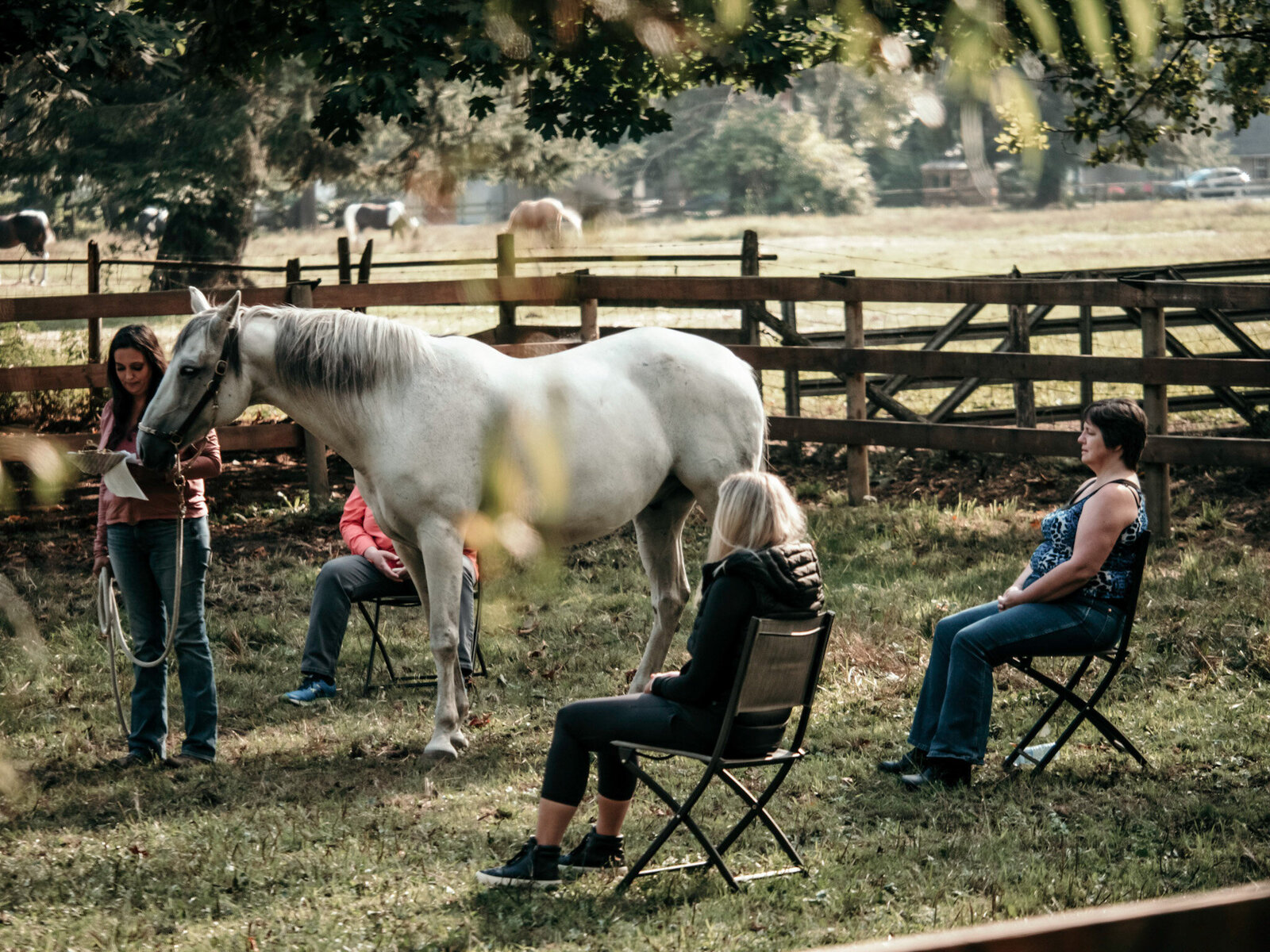 Believe and See Ranch Meditation Circle