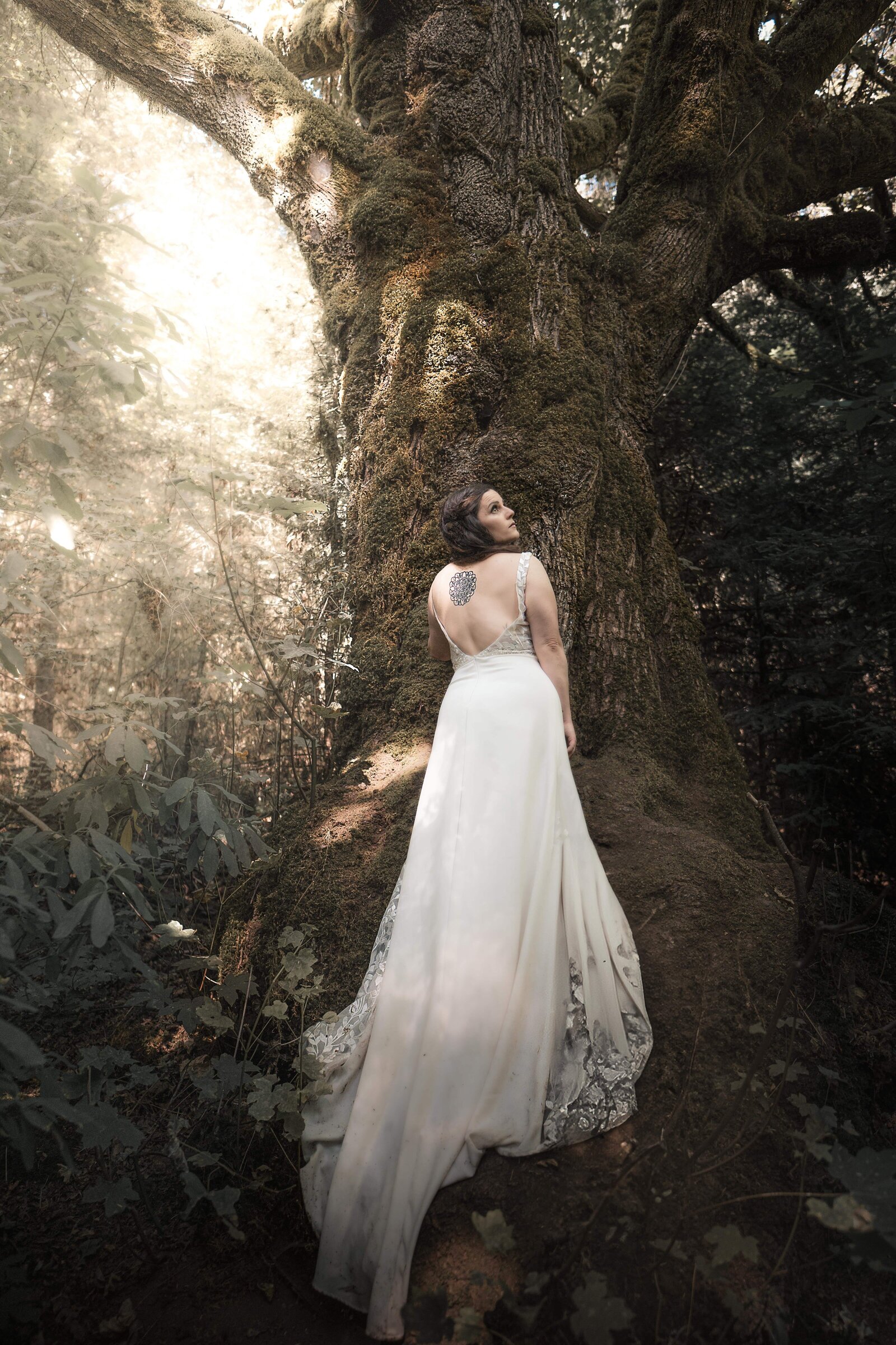 KristenVann-VirginiaElopementPhotographer-Amber-rainforest-2