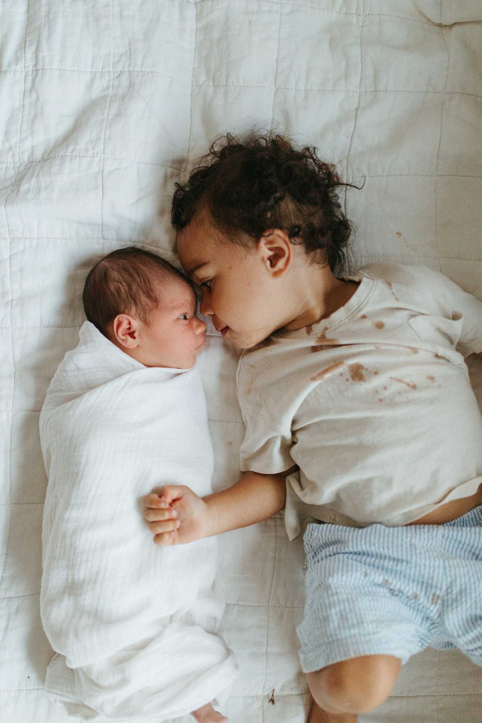 Gold -Coast- Tweed- Coast- Newborn -Photoshoot