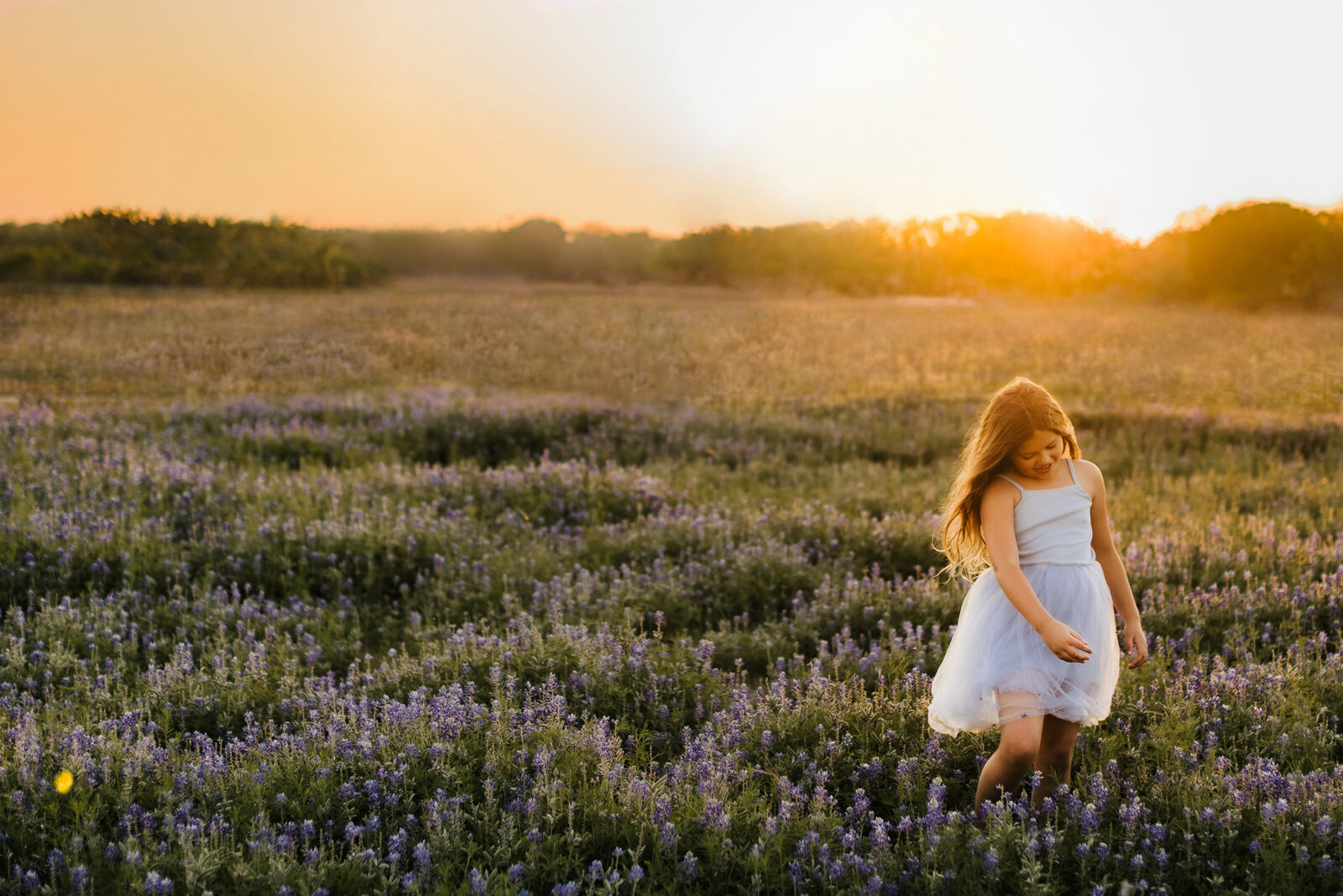 Bluebonnets20220283-2