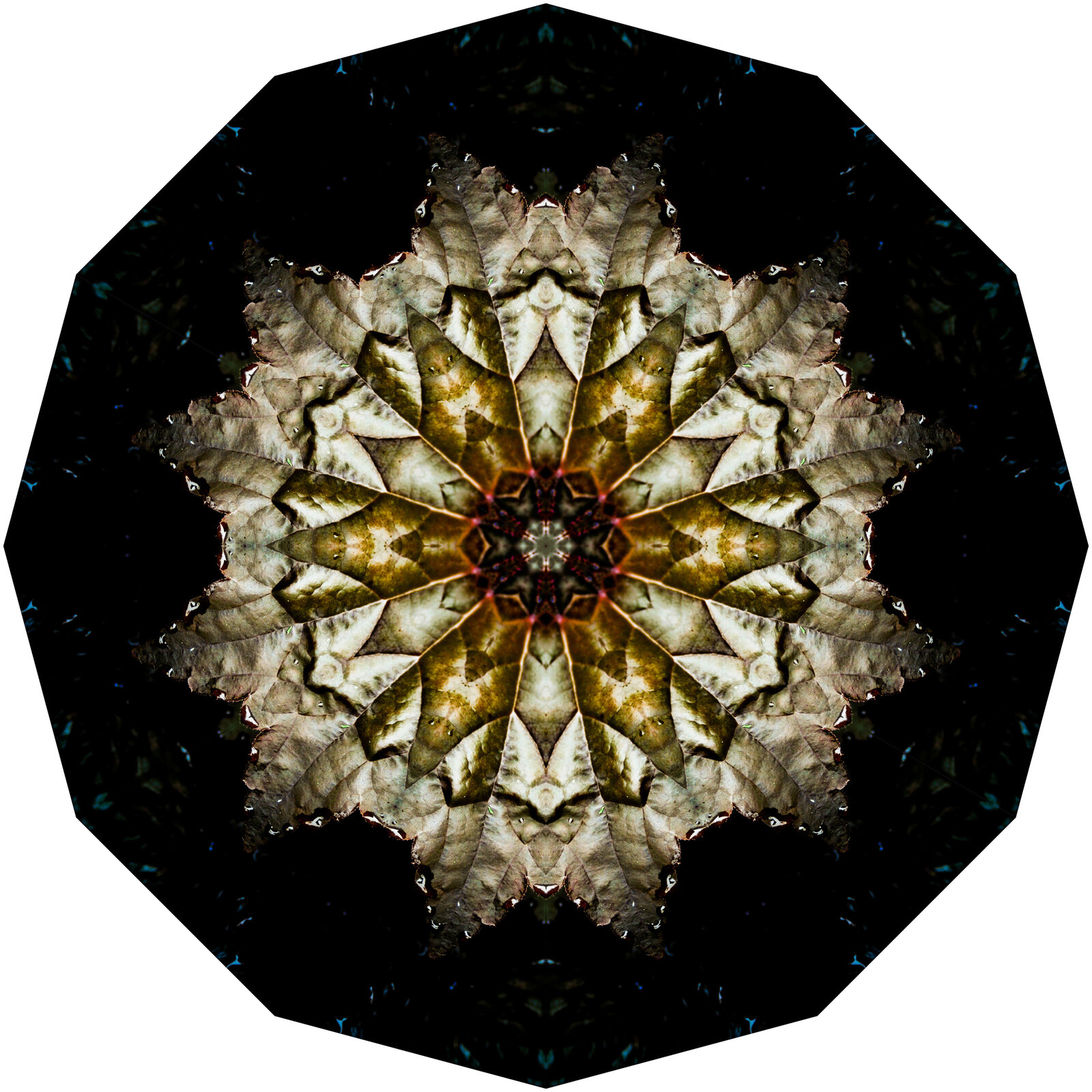 liz-allen-photography-digital-kaleidoscope-art-2