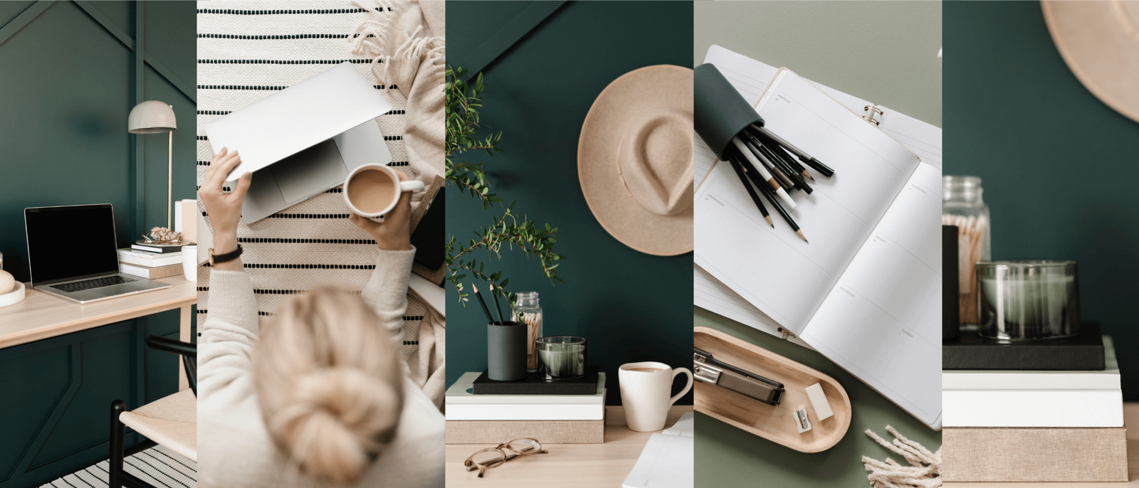 haute stock earthy green office collection examples