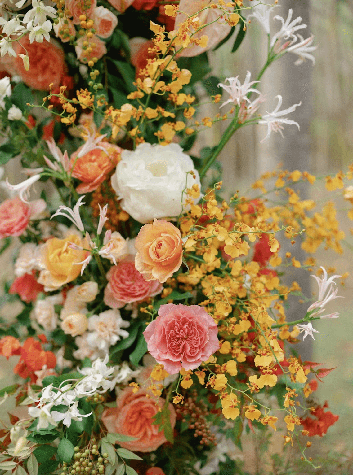 Screenshot 2025-11-25 at 12.04.54 PM