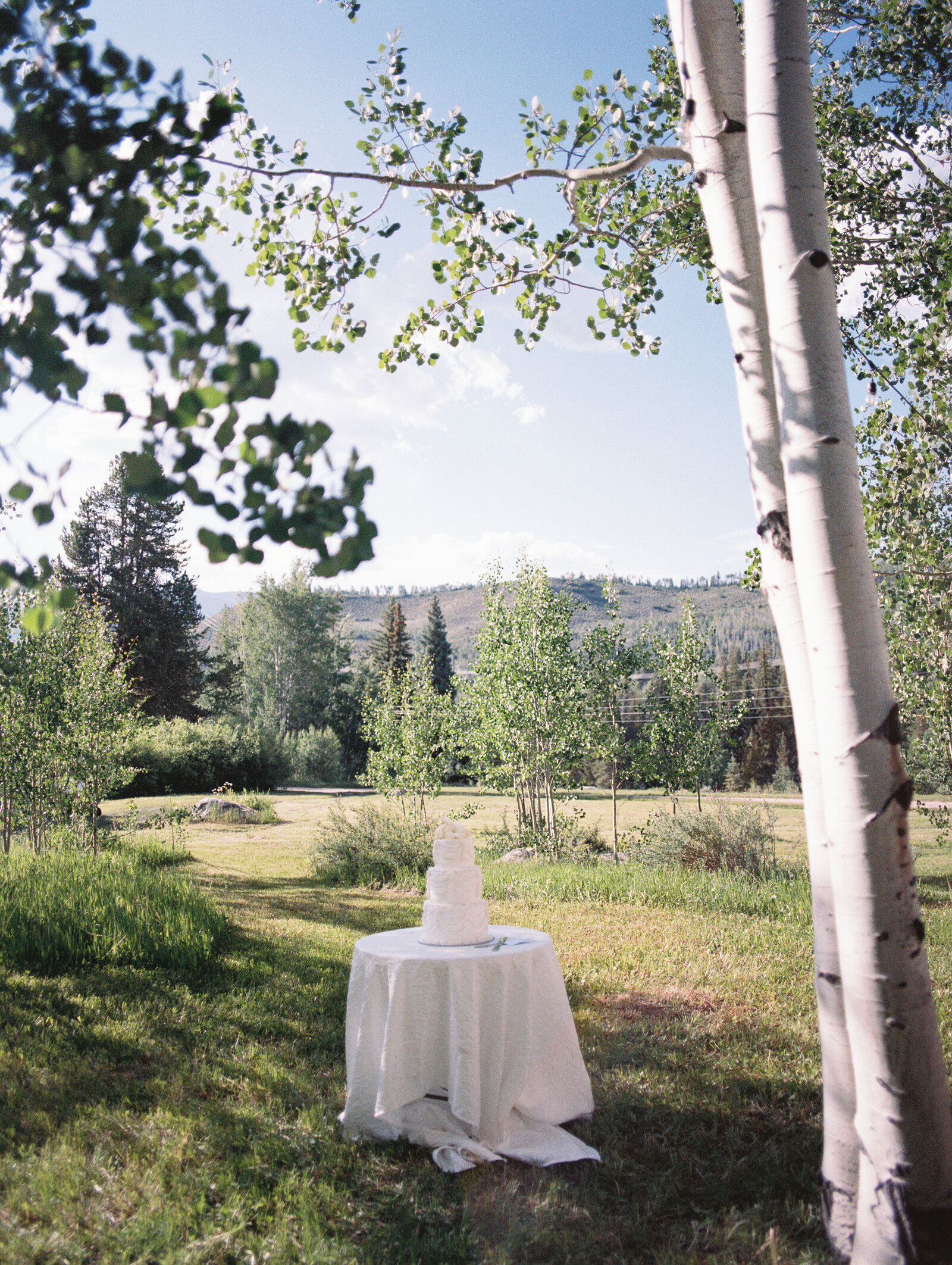 cassidymichael_coloradoweddingonfilm_stillsbytrinity-36
