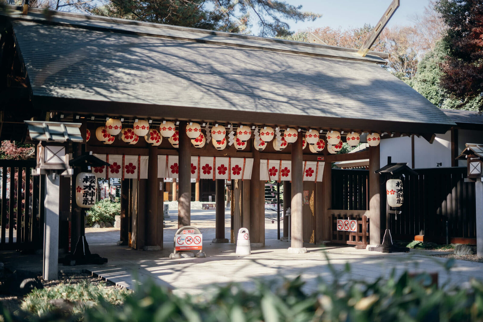 柏-松戸-七五三写真15