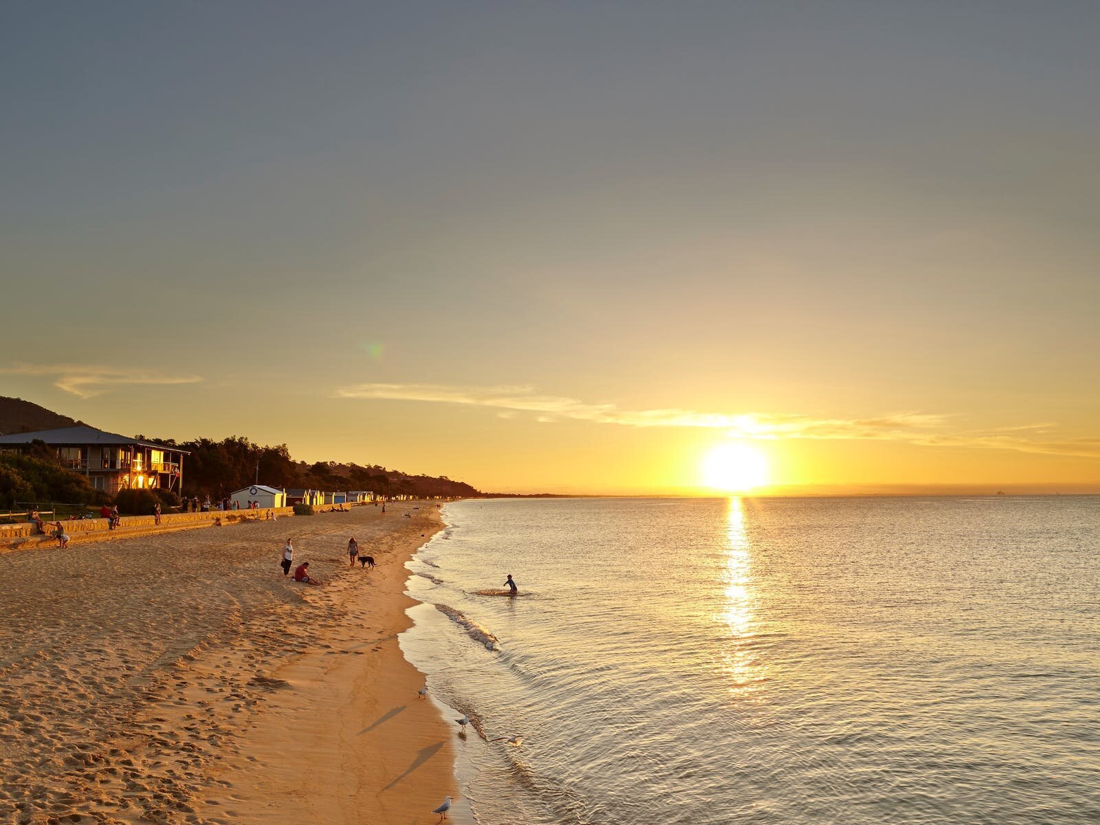 78ba383c807a0f1872fb5b28f0a6c97b_1600X1200