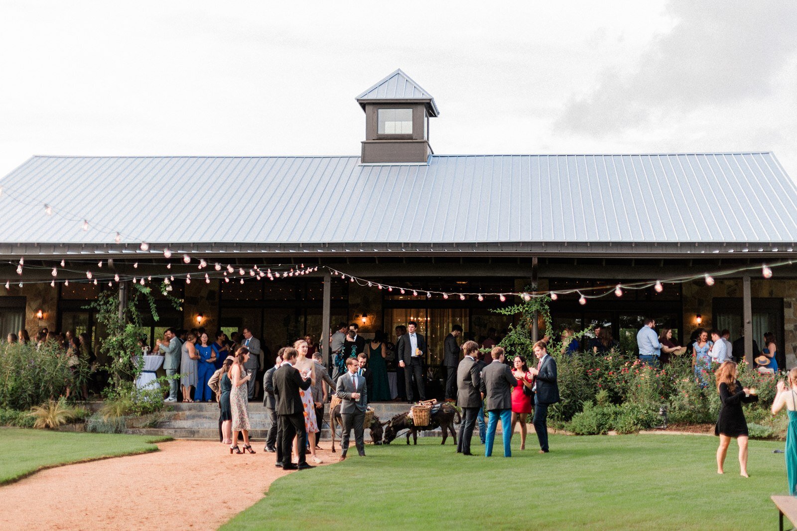 hill-country-wedding-cocktail-hour