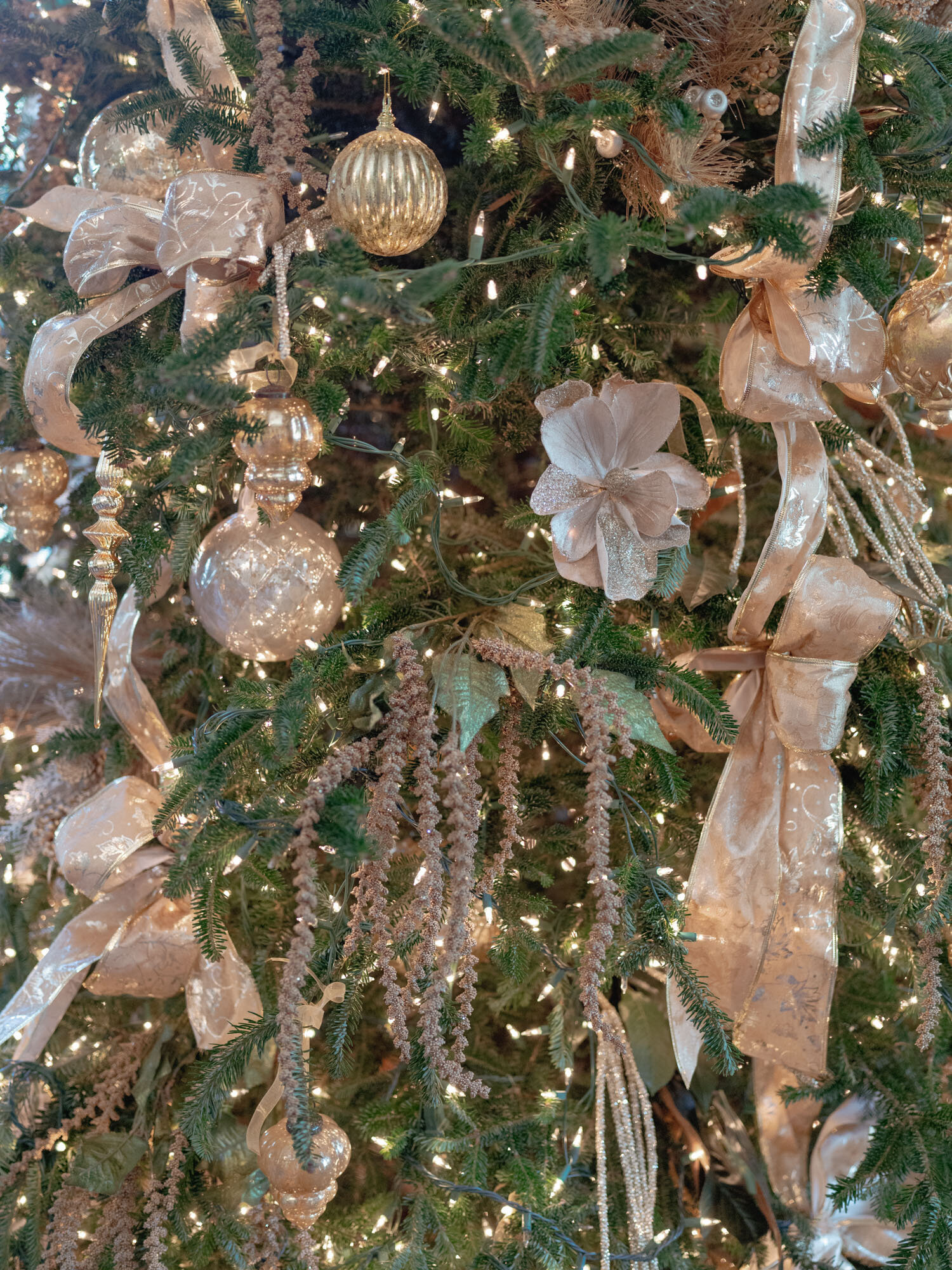 Charleston-Christmas-Wedding-4