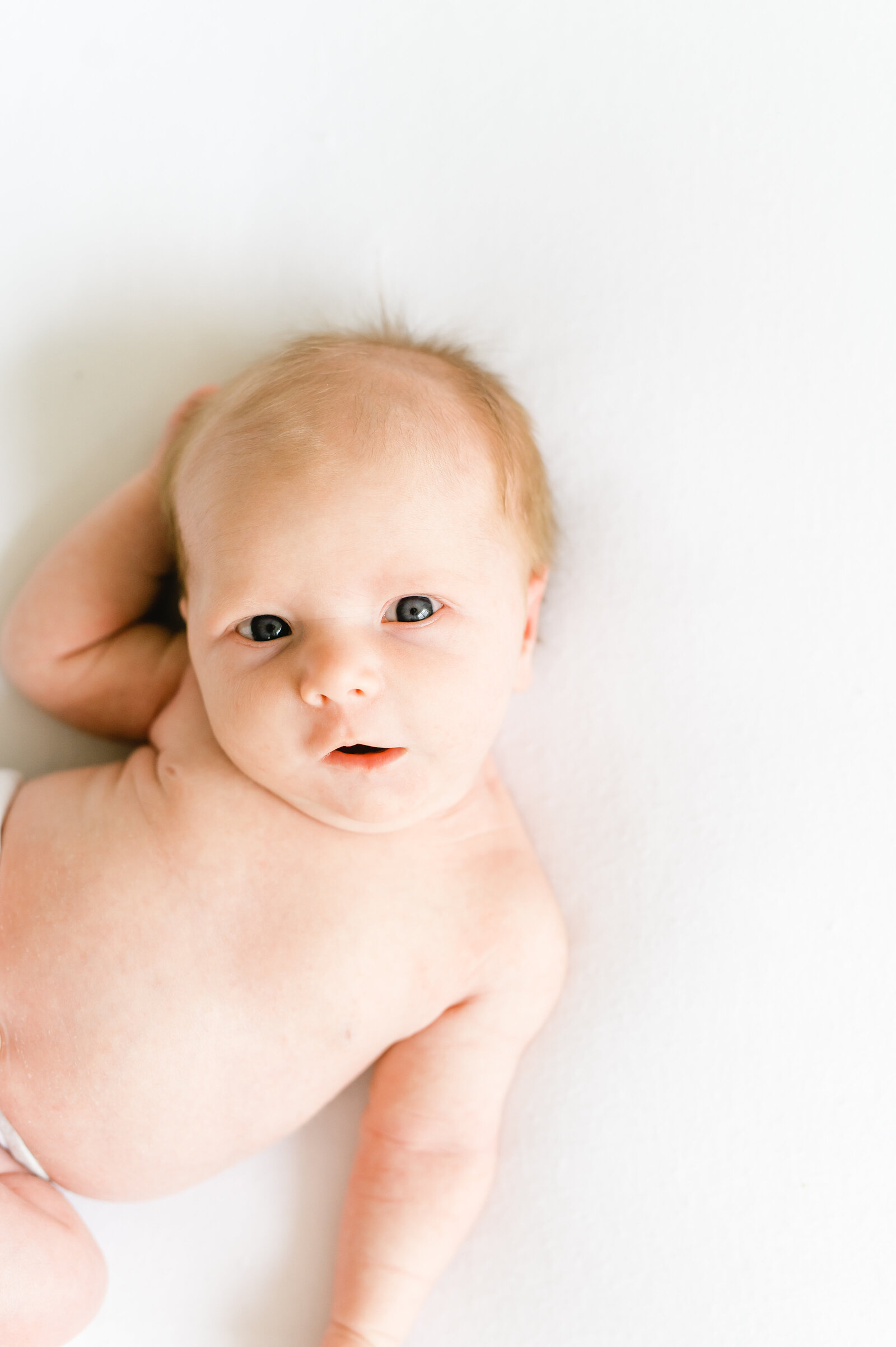 EllaLavyNewborn-58
