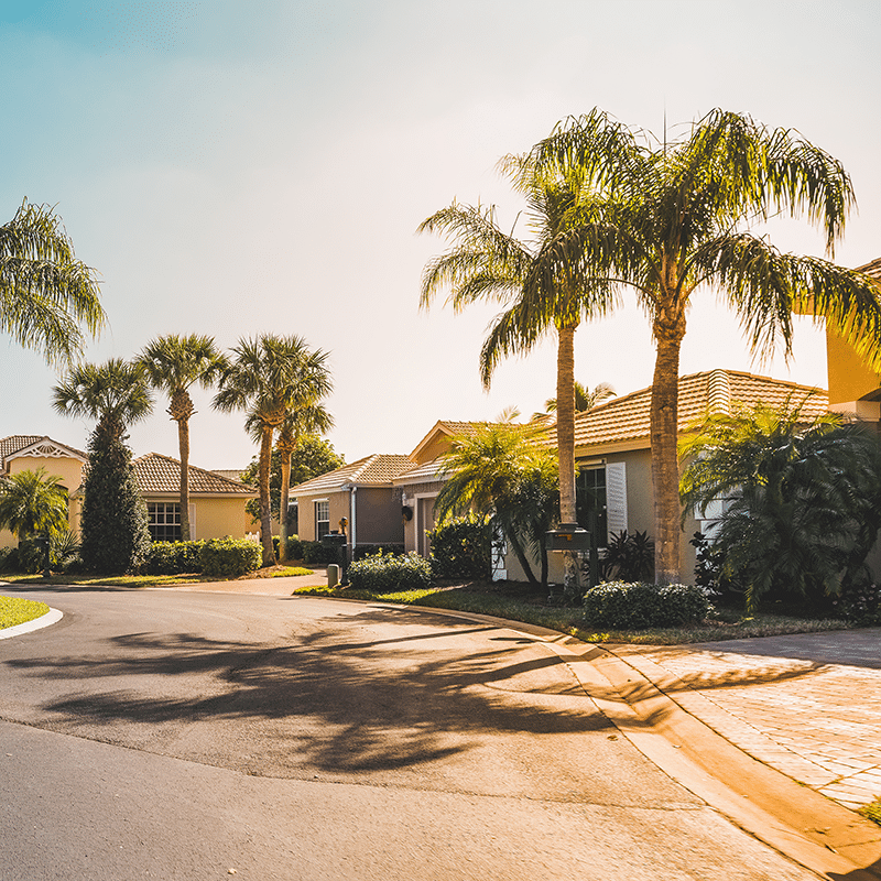 Florida-landscape-installation-and-construction