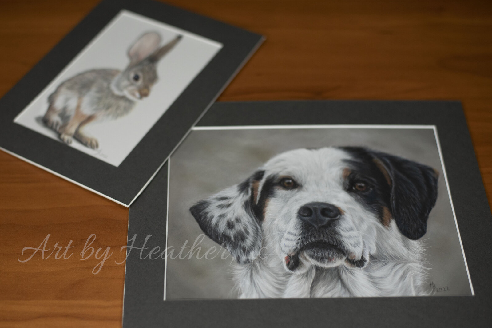 Custom portrait of a rabbit and an Australian Shephard framed and placed together