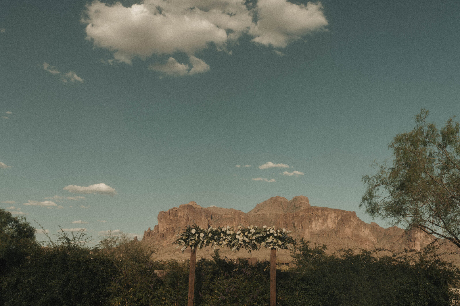 TheCarmonasWeddingAZ-407