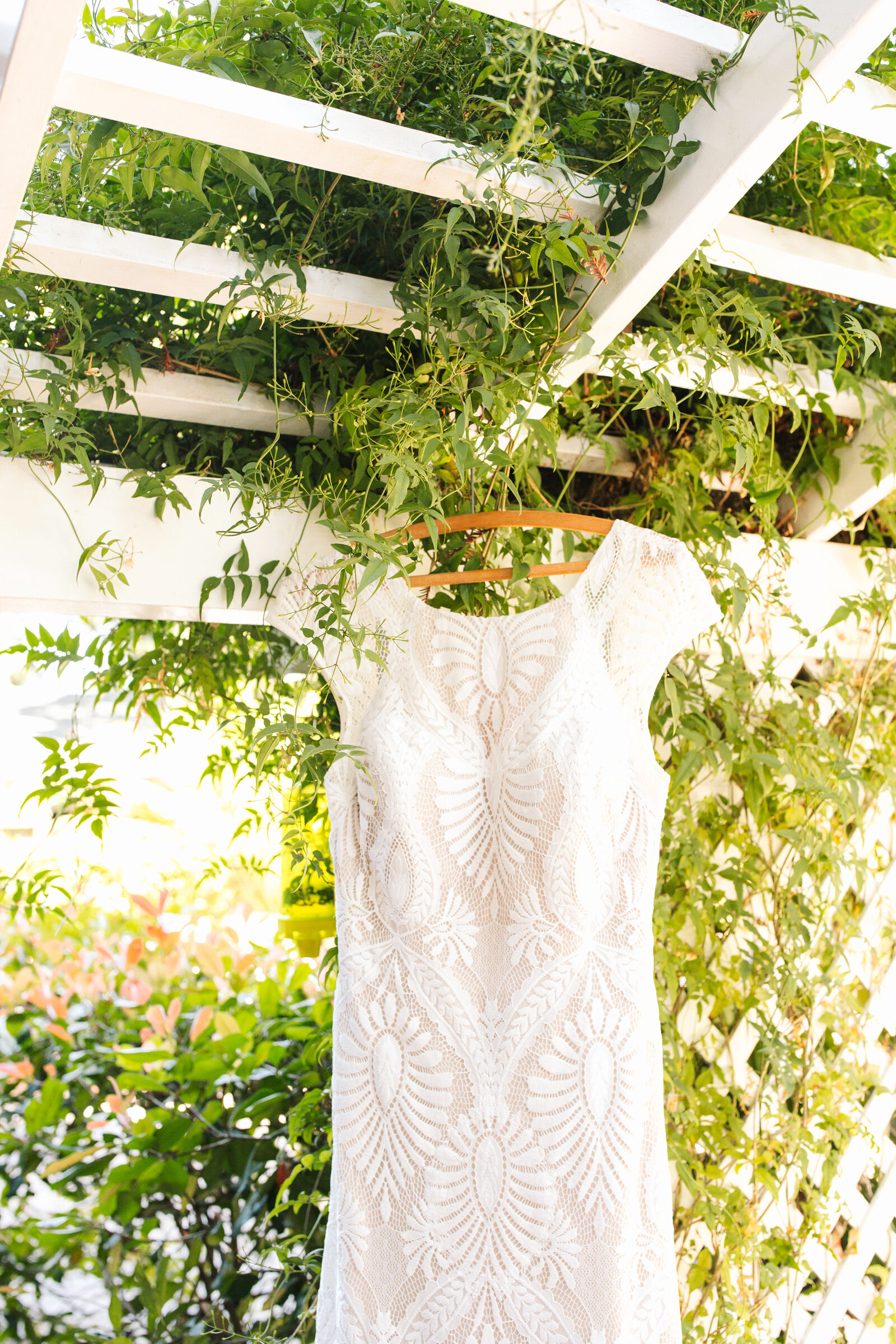 BHLDN wedding dress in Santa Cruz, California in the redwood trees.