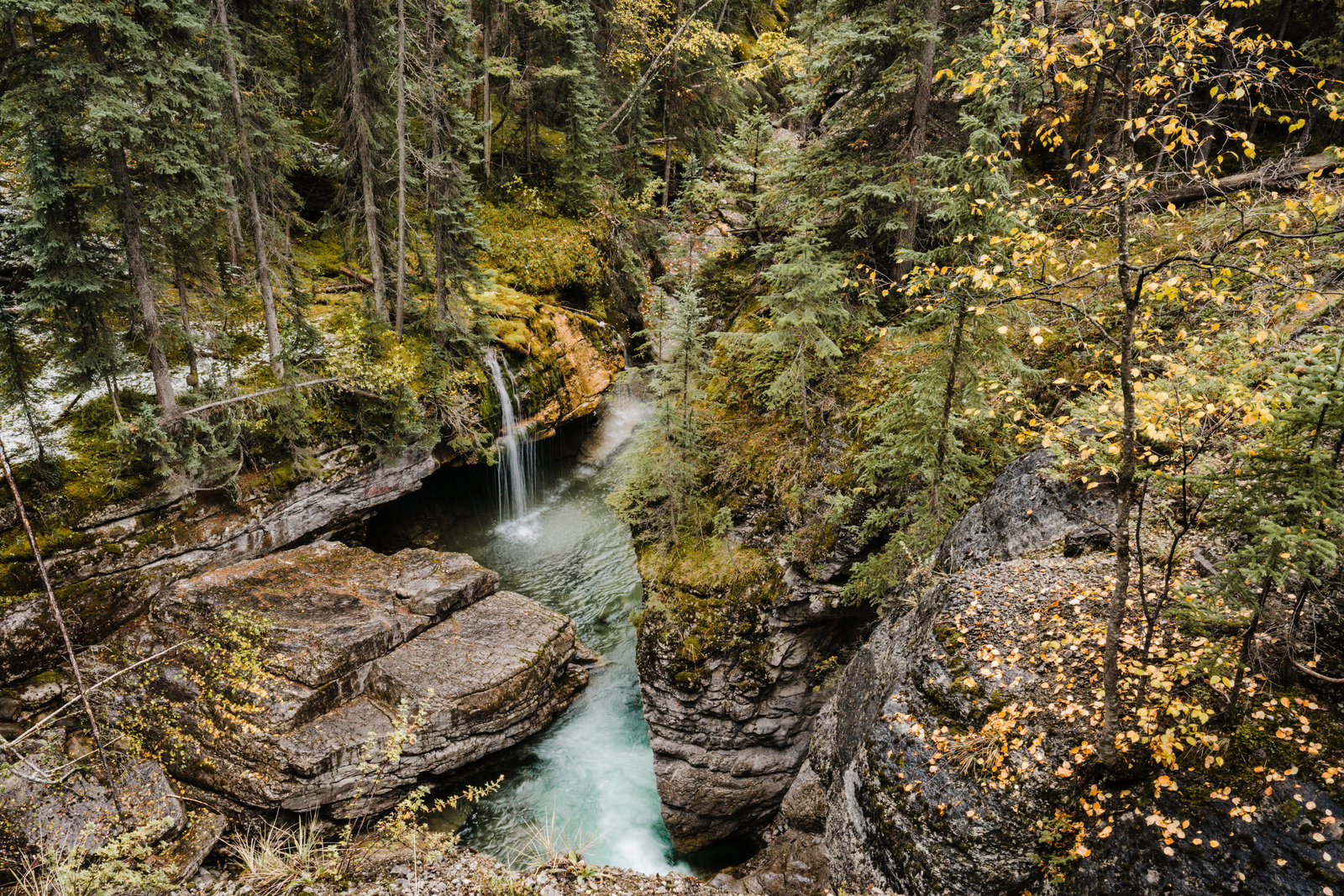 Banff_Jasper_National_Park_Sasha_Reiko_Photography-87