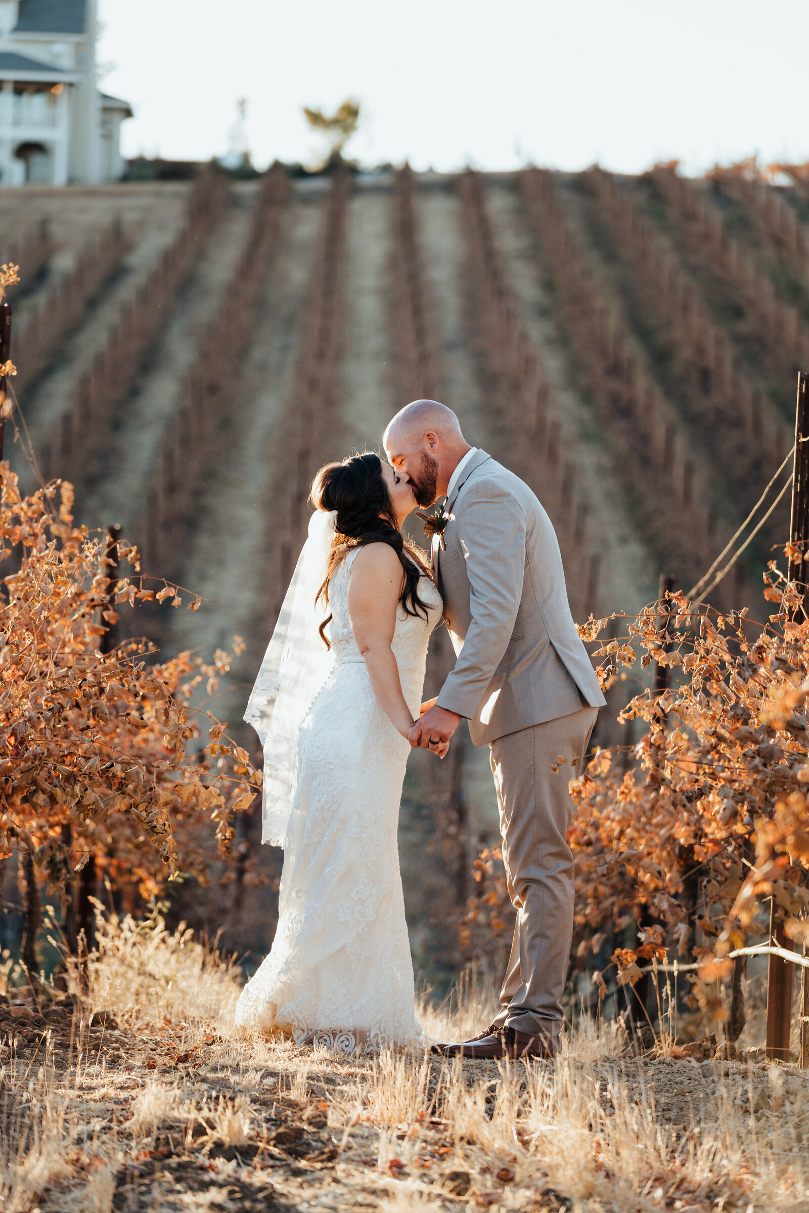 Ellas Vineyard Sunset