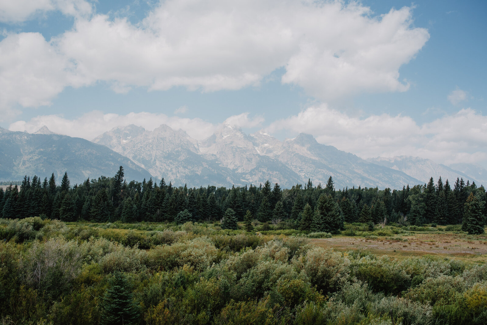 blacktail ponds location for a wyoming elopement in the grand tetons with lush woods and a stunning view of the tetons for a summer wedding