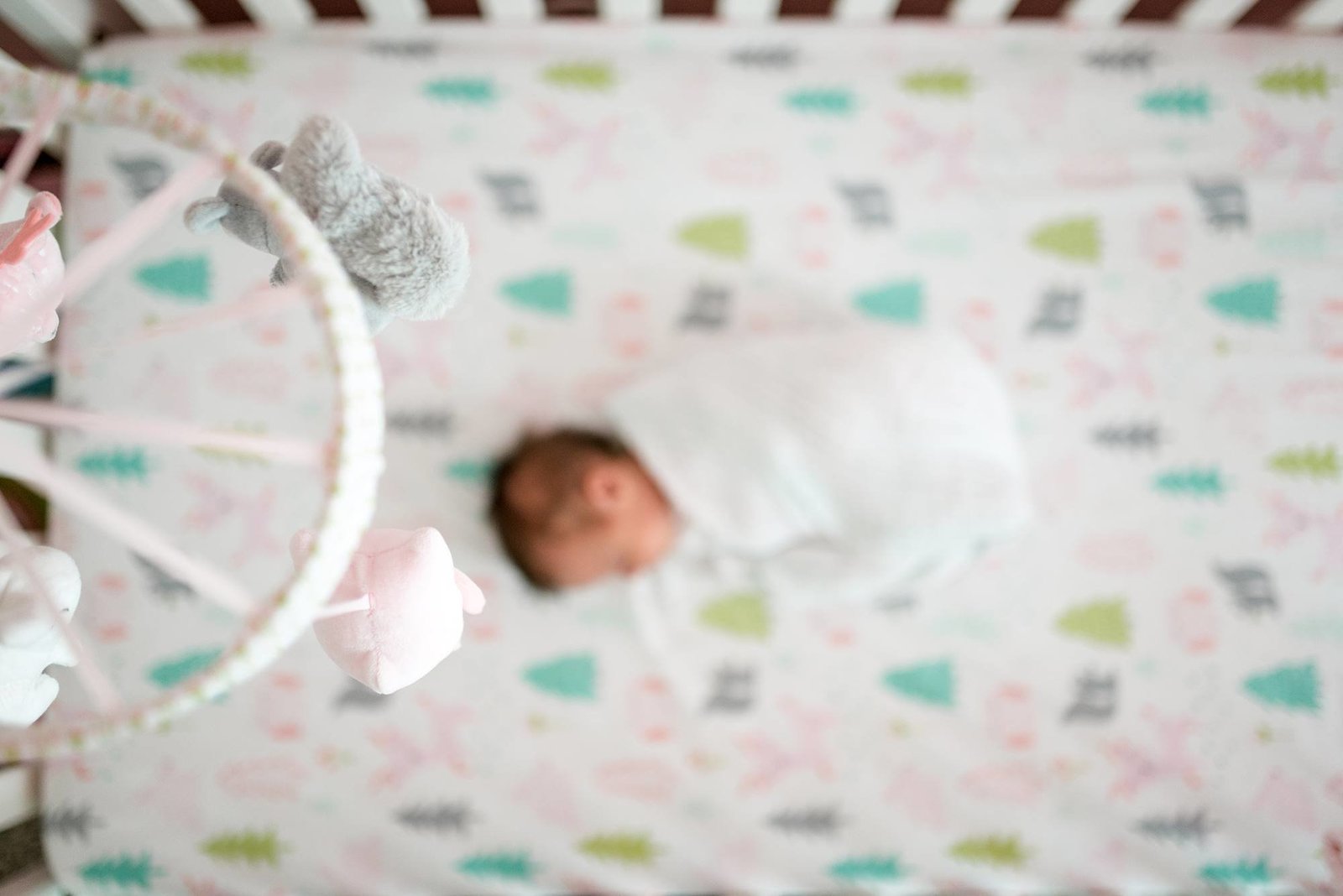 Westminster Colorado Newborn Photographer