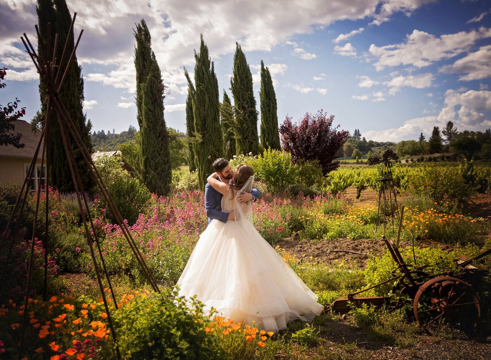 Santa-Rosa-Wedding-Photographer-13