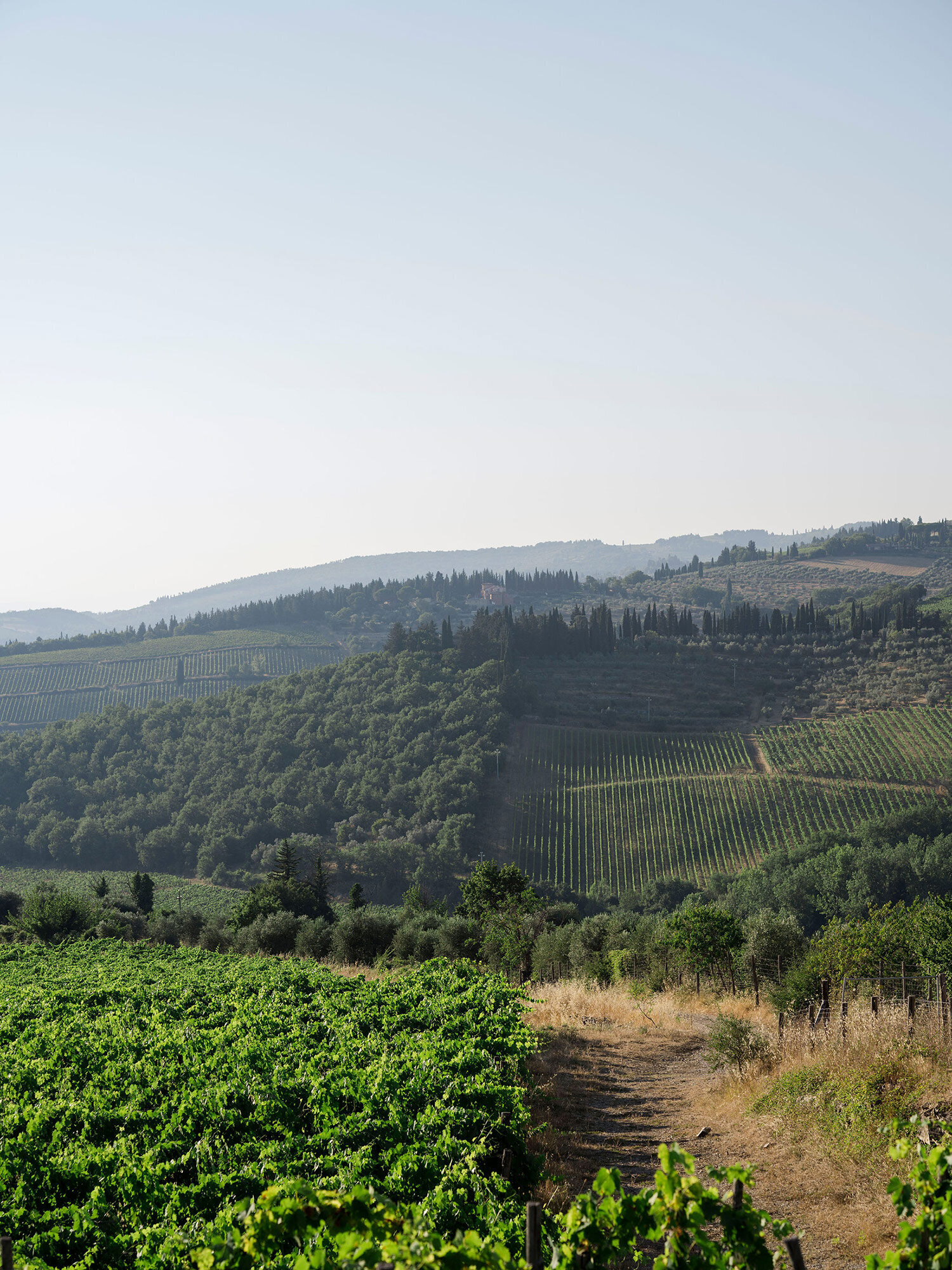 borgo_di_vignamaggio_A&J_wedding_007