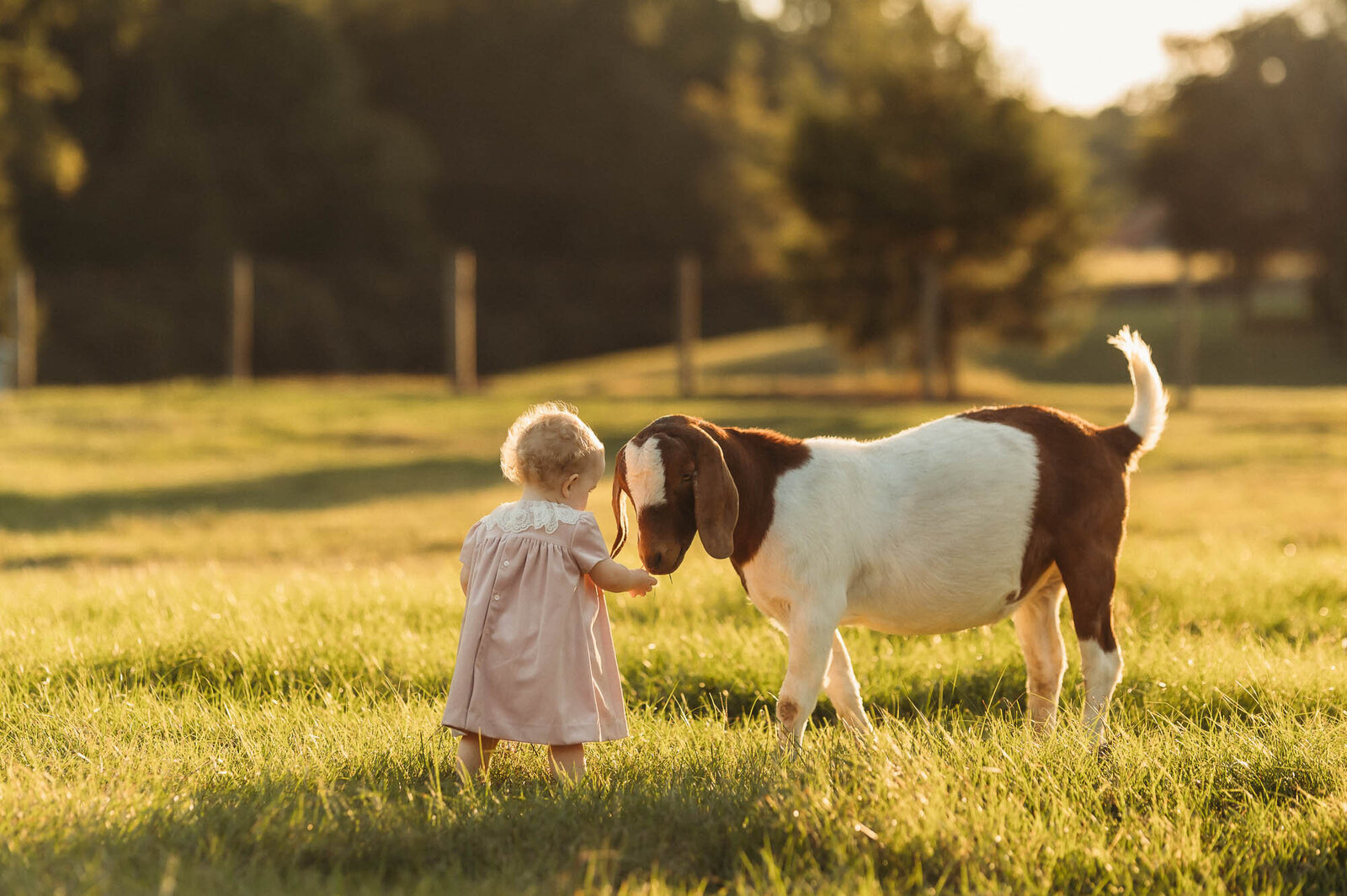 East Texas Child Photographer-1