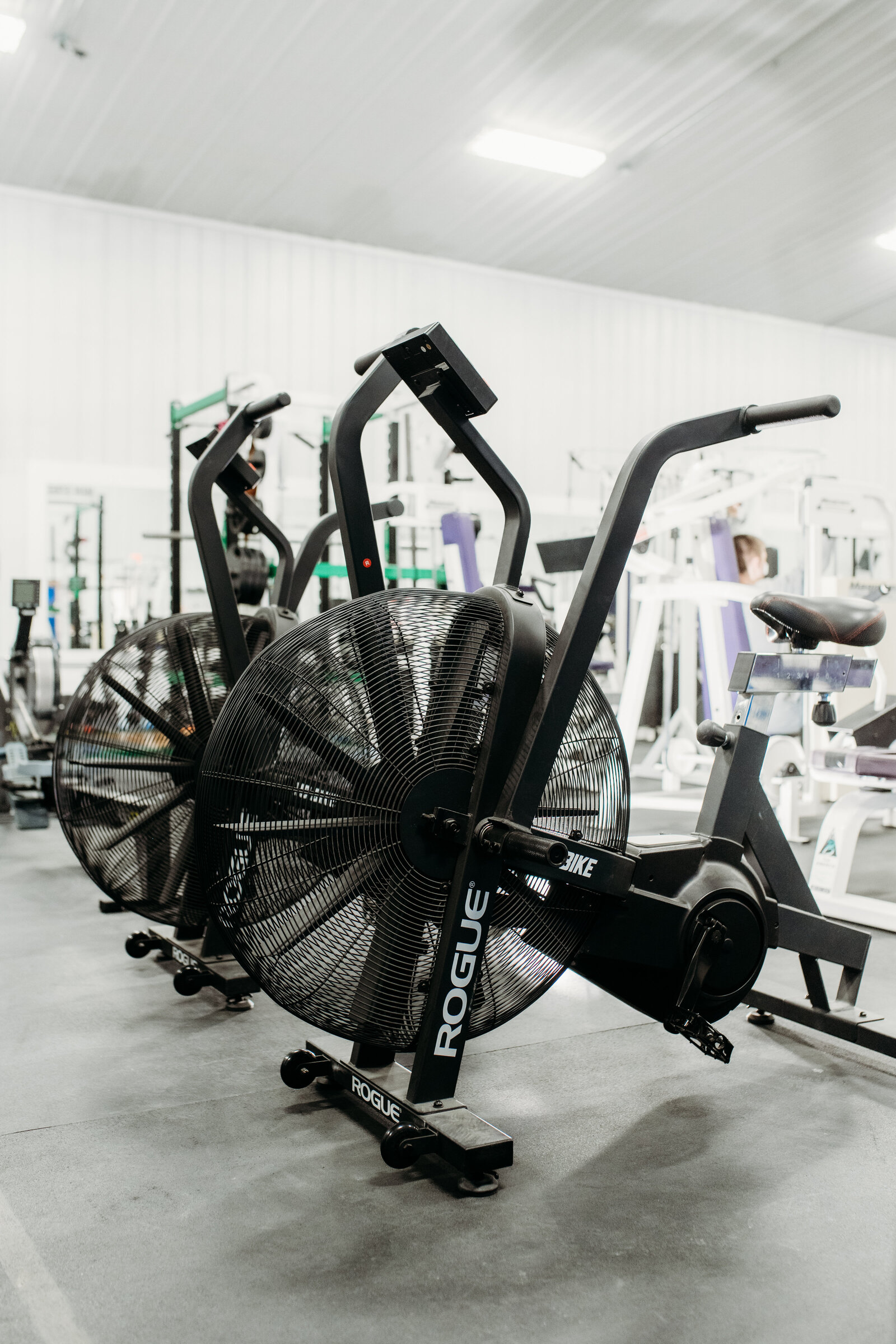 SMT_TheGym11
