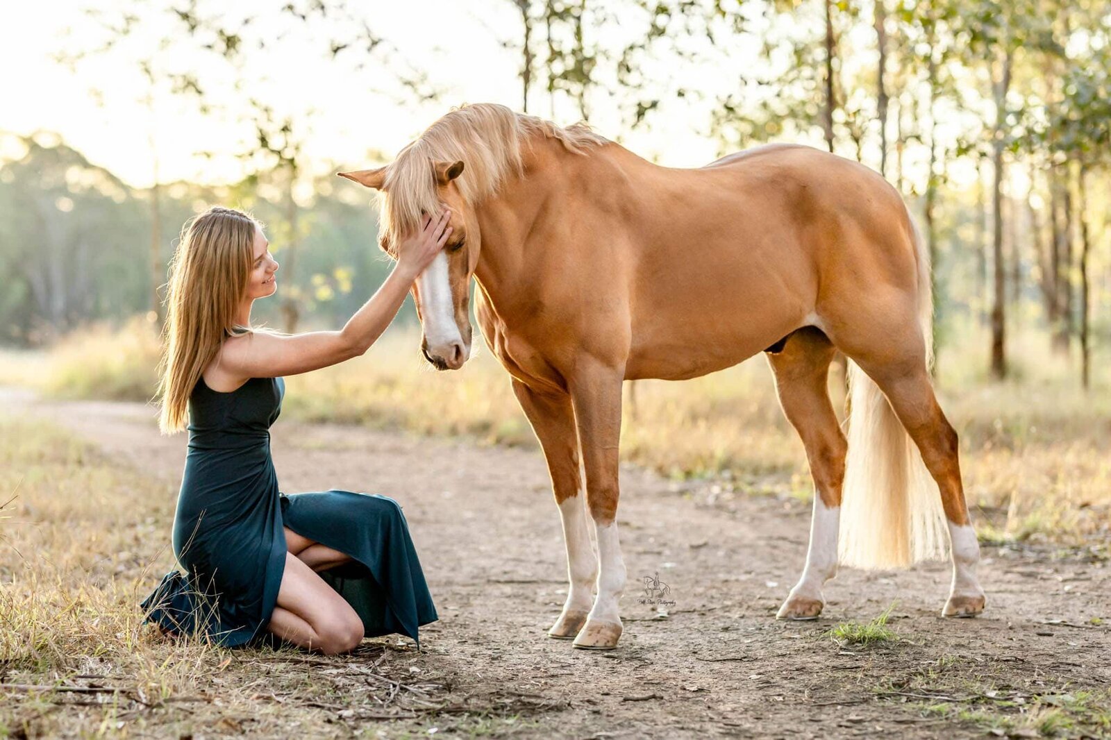 (25) Scheyville national park horse photoshoot