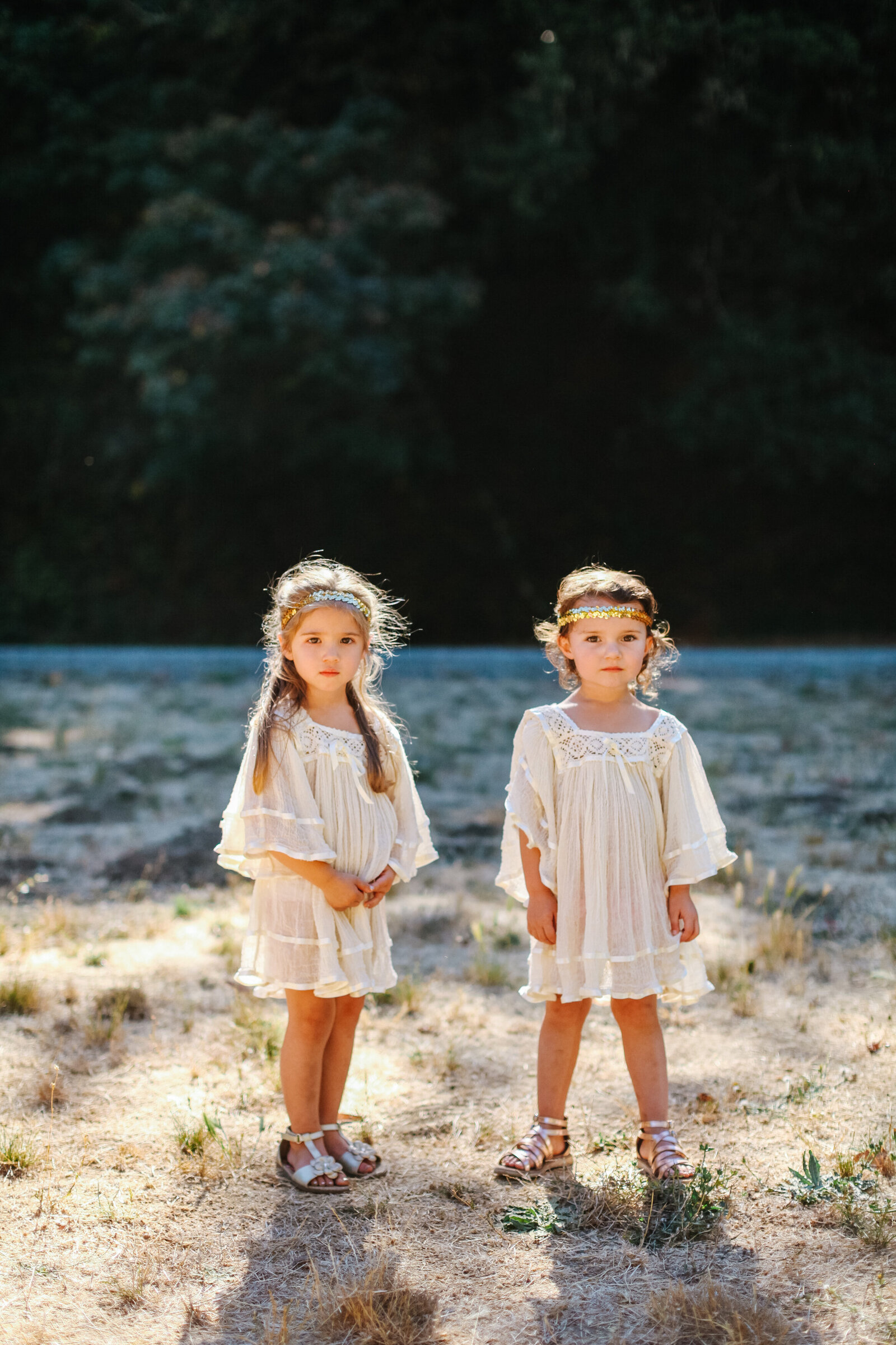 083_Weddings_IMG_8516