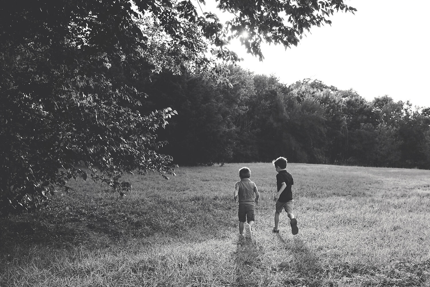 Black and white image of brothers running in a field at sunset with the sun peeking through the trees.
